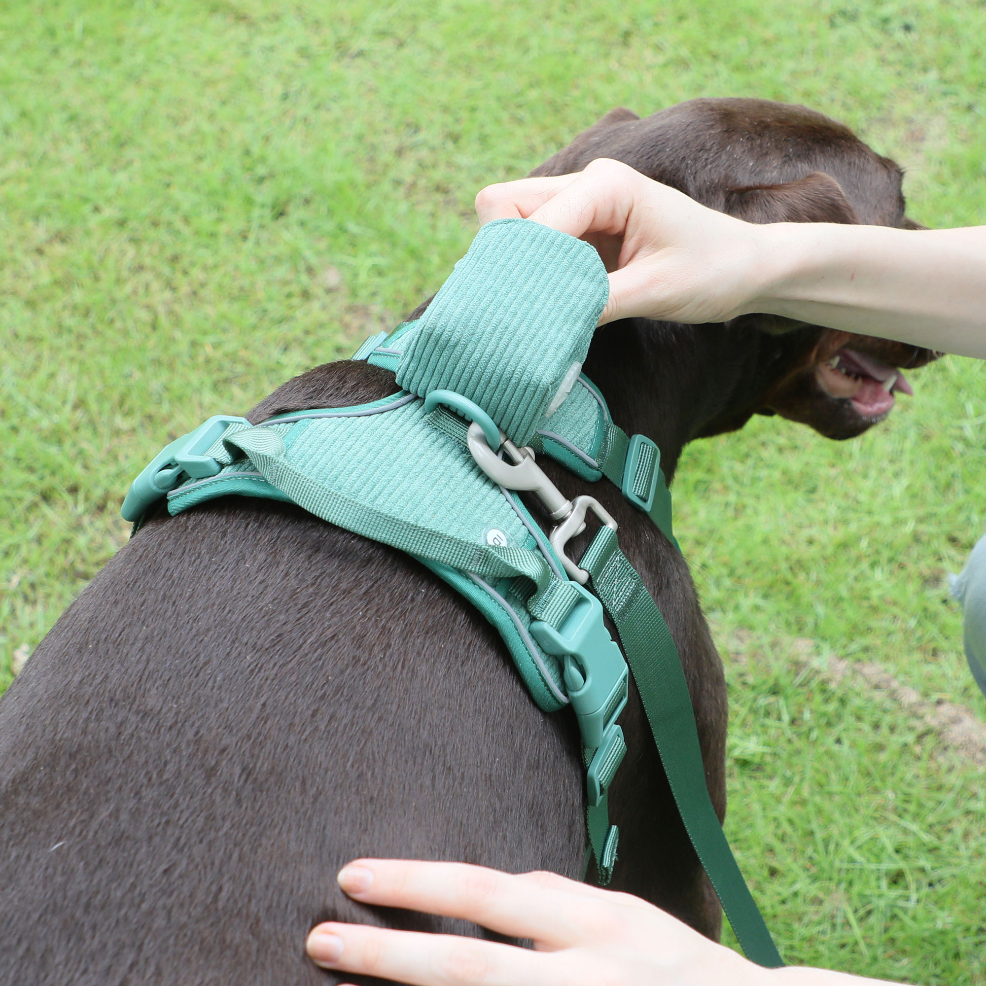 Pet Leash And Harness Set dog Vest step In Harness dog accessories