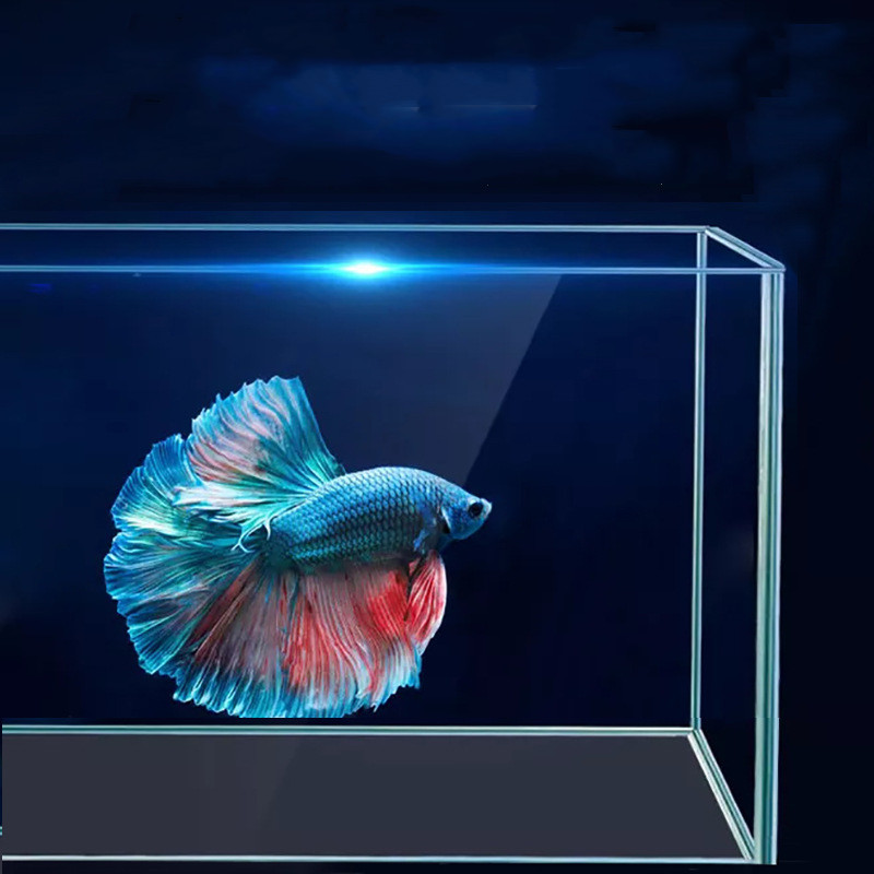 Wholesale Pet Supplies Aquarium Fish Tank Ornamental Landscape Ultra White HD Glass Various Size Aquarium Fish Tank