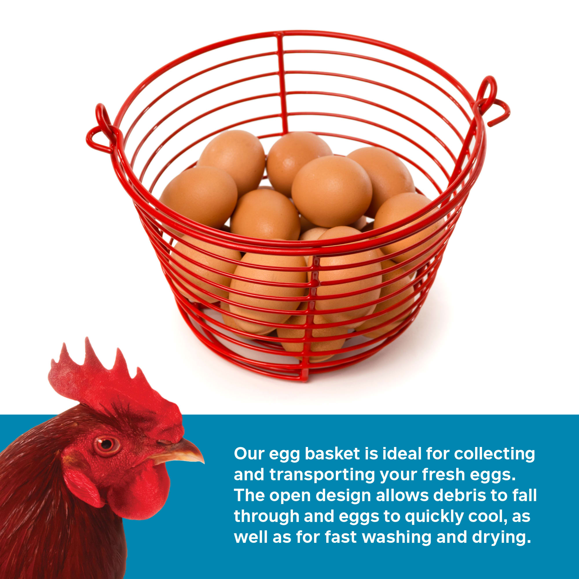 Prevue Pet Products Egg Basket, Small
