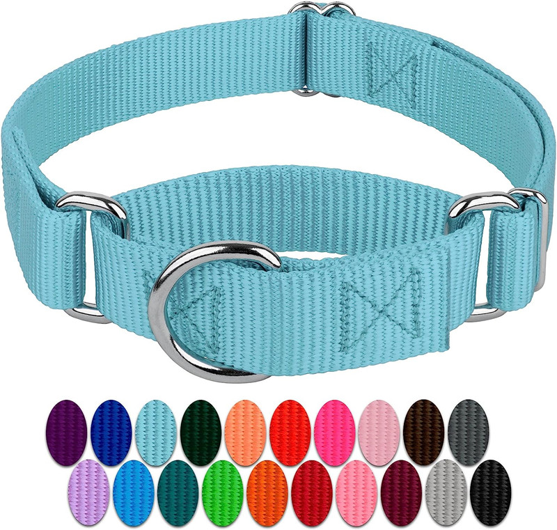 Wholesale China Pet Collars Adjustable Nylon Heavy Duty Martingale Dog Collar For Dogs walking jogging training
