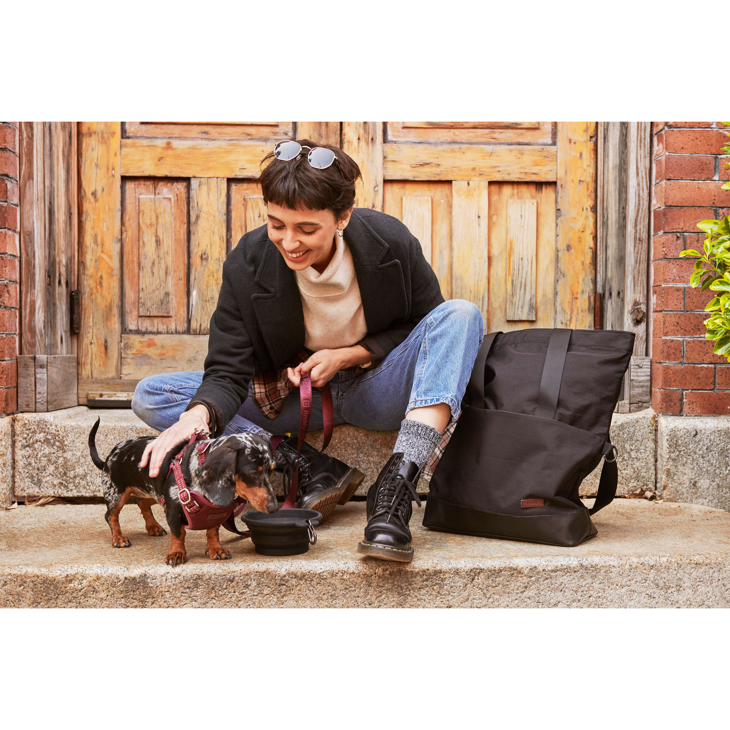 Reddy Weekender Bag for Dogs, 13" L X 6" W X 19" H