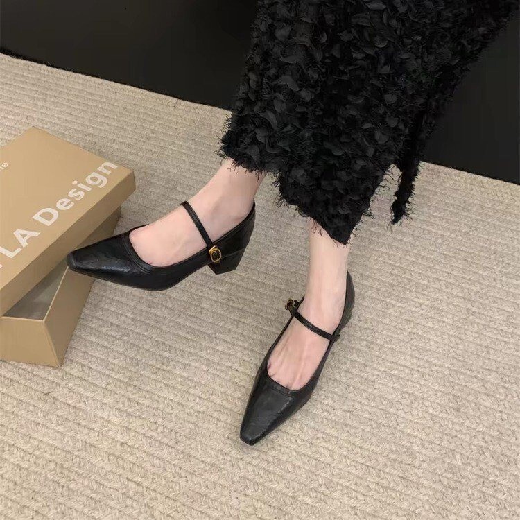 High heeled Mary Jane shoes with pointed toe and shallow mouth, spring 2024 new thick heels, French style with skirt temperament, single shoes for wom