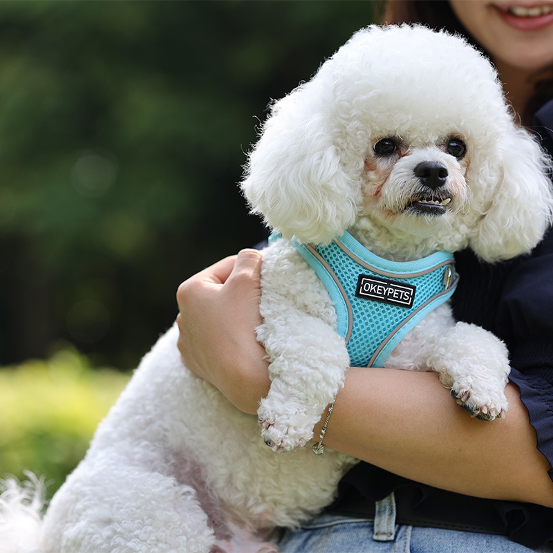 No Pull Harness Breathable Sport Harness with Handle-Dog Harnesses Reflective Adjustable for Medium Large Dogs
