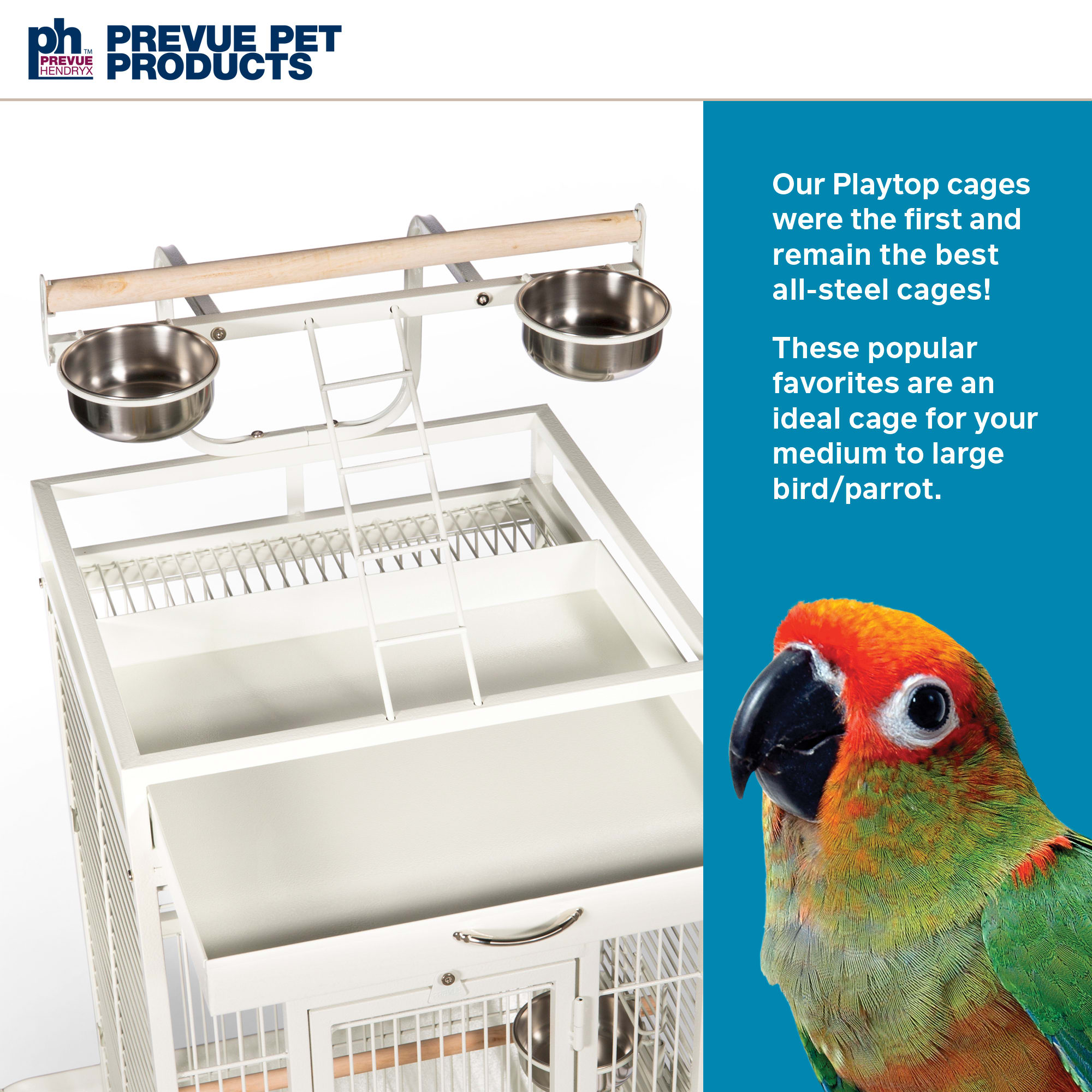 Prevue Pet Products Signature Select Series Wrought Iron Bird Cage in Chalk White