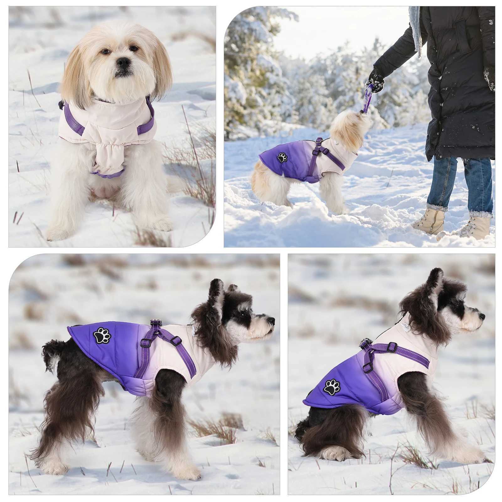 Warm Chihuahua Dog Cat Clothes Winter Small Dogs Puppy Coat Thick Cotton Pet Jacket With Zipper Outfits Clothes With HarnessXJ241125