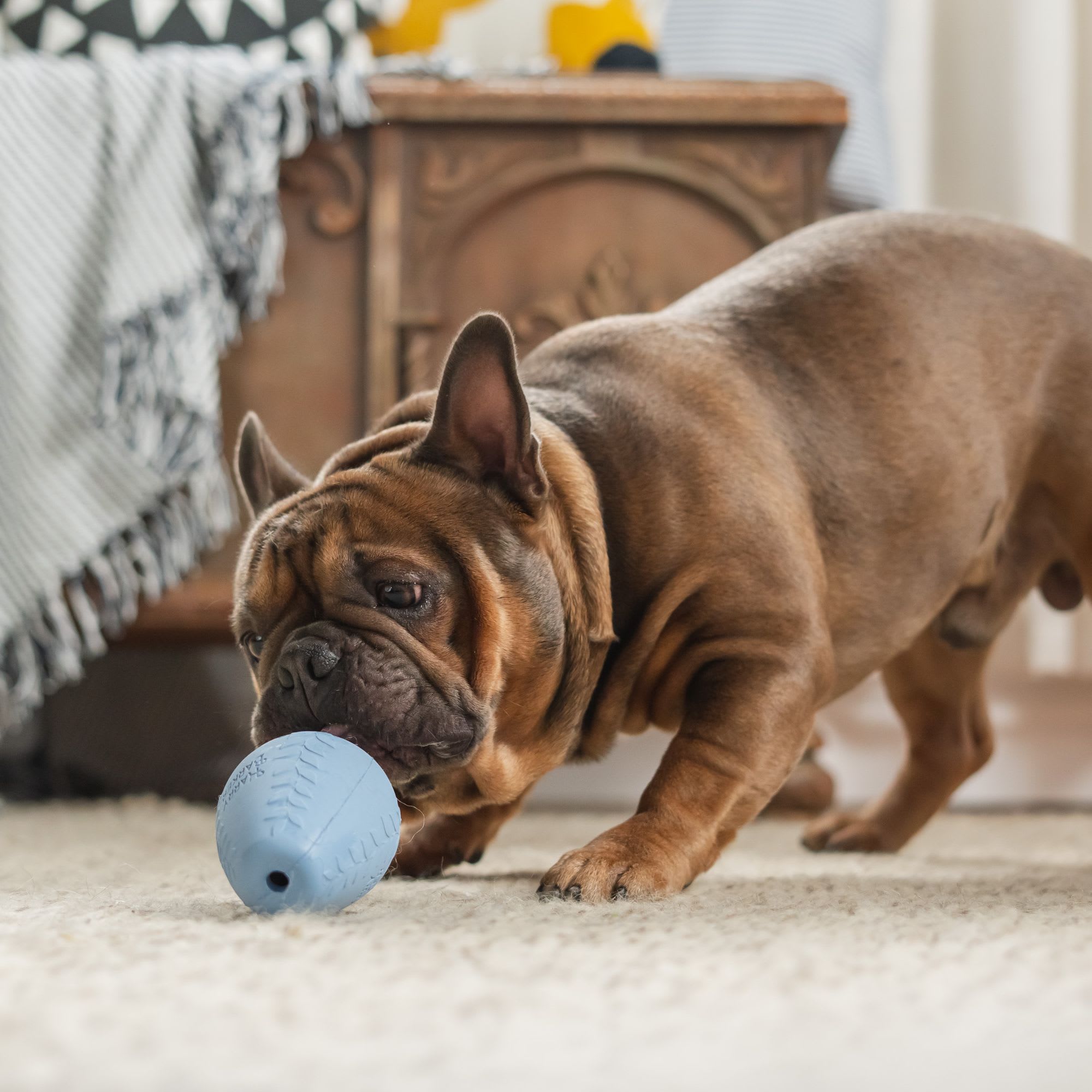 Harry Barker Durable Rubber Treater Dog Toy, X-Small