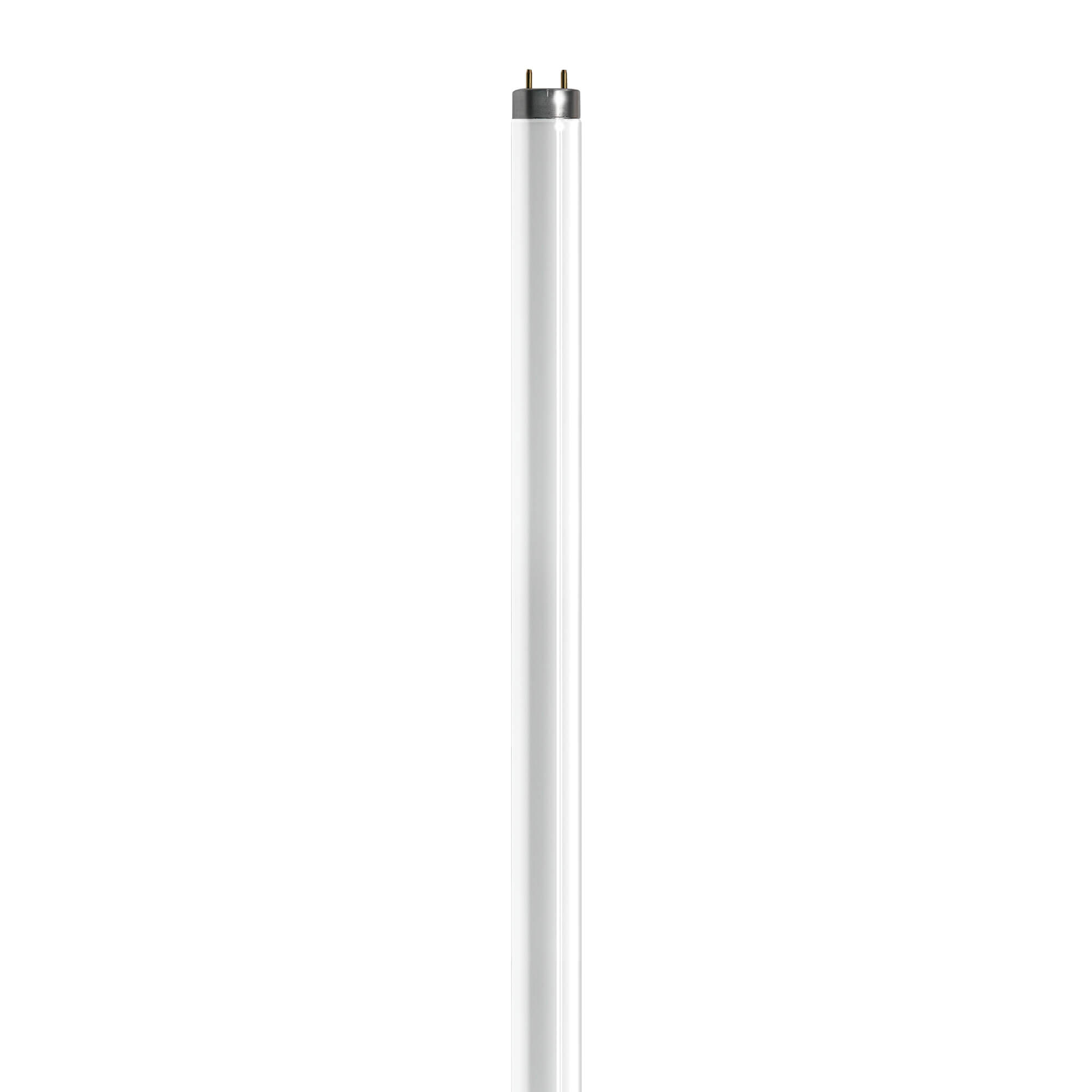 Zilla Tropical 25 UVB Fluorescent T8 Bulb, 15 Watts