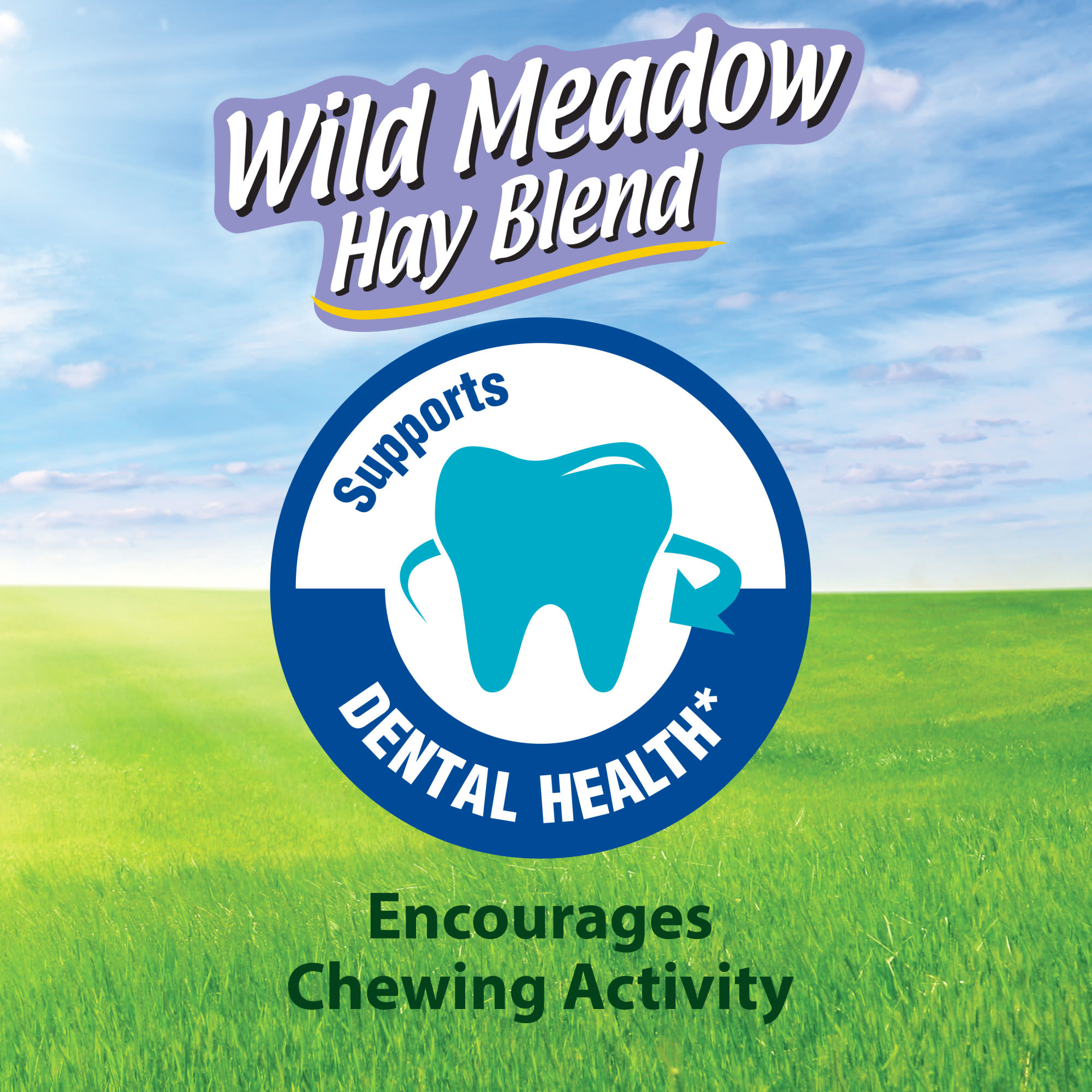 Kaytee Wild Meadow Hay Blend for Small Animals, 24 oz.
