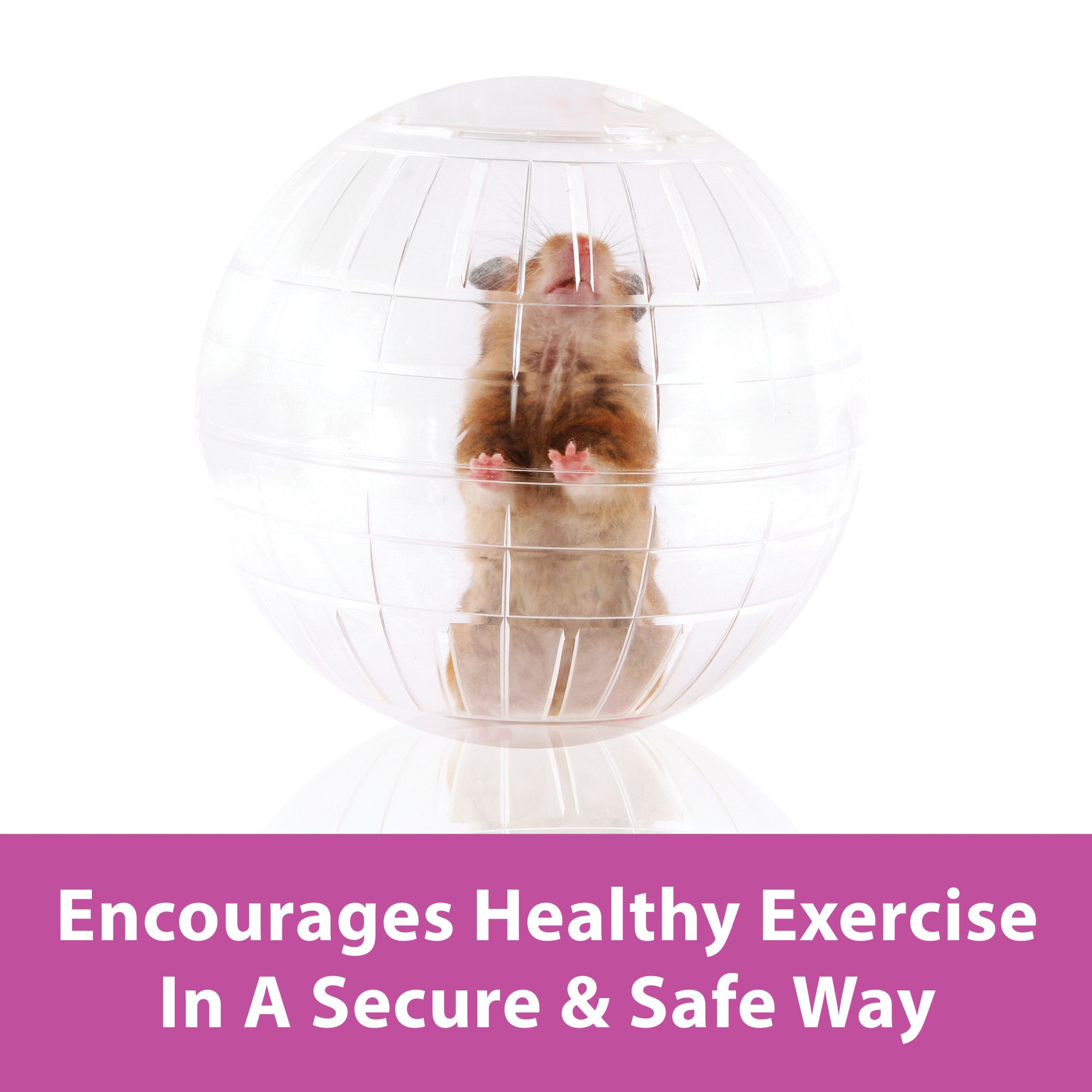 Kaytee Clear Giant Run-About Exercise Ball for Small Animals, 11.5"