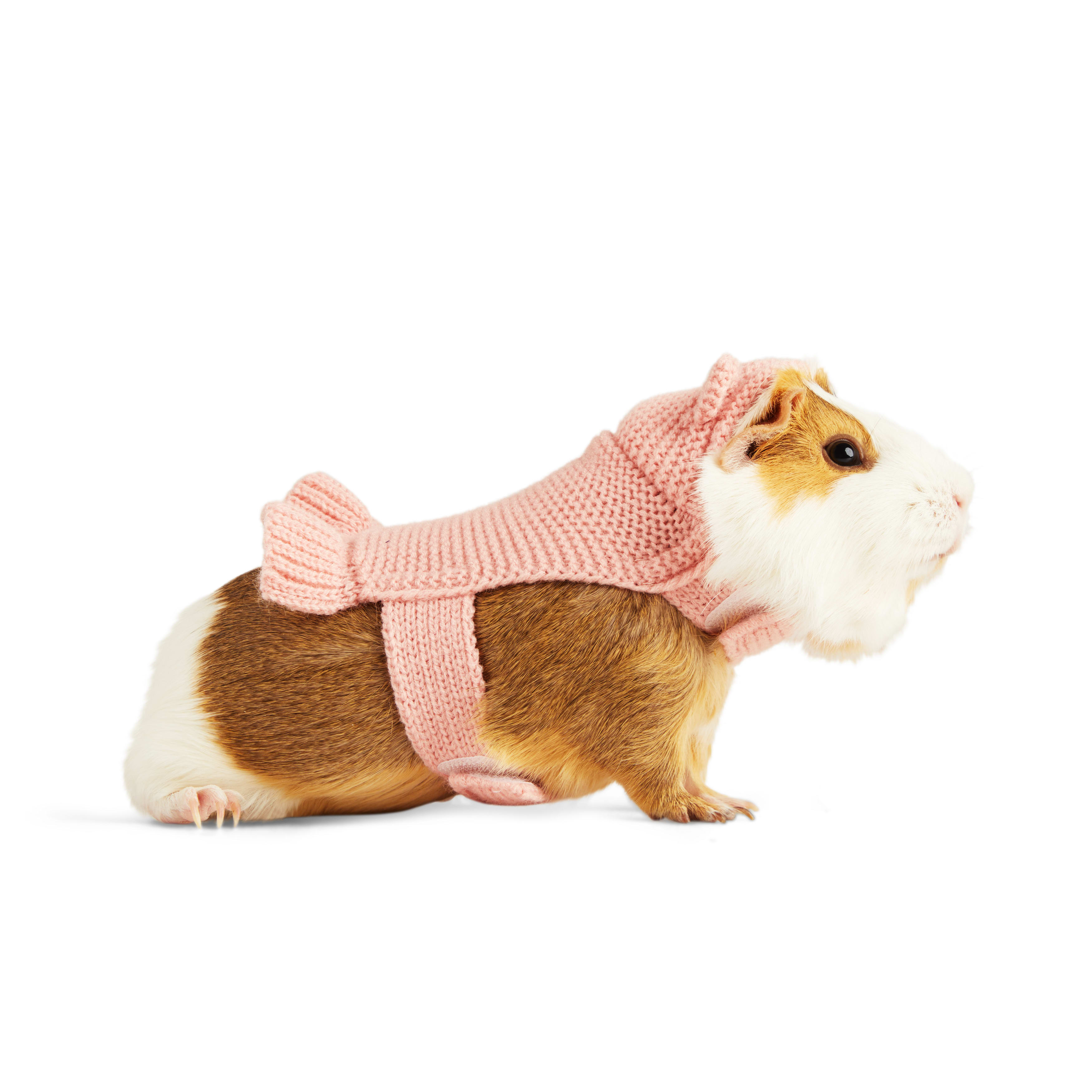 YOULY Blush Teddy Small Animal Dog Hoodie, Pink