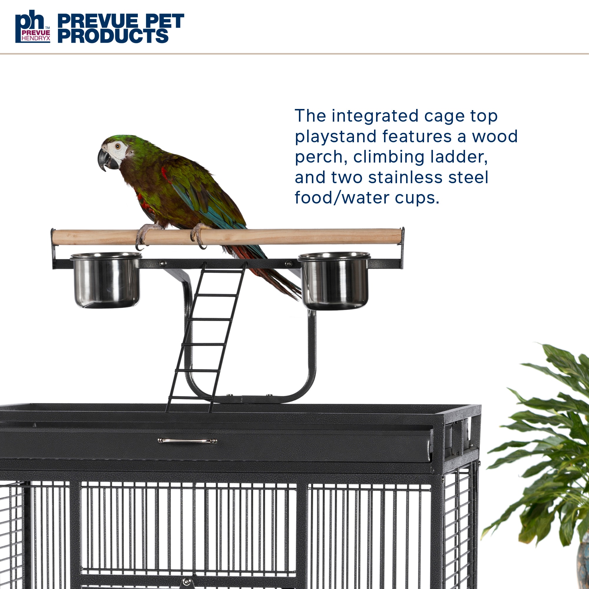 Prevue Pet Products Signature Select Series Wrought Iron Bird Cage in Black