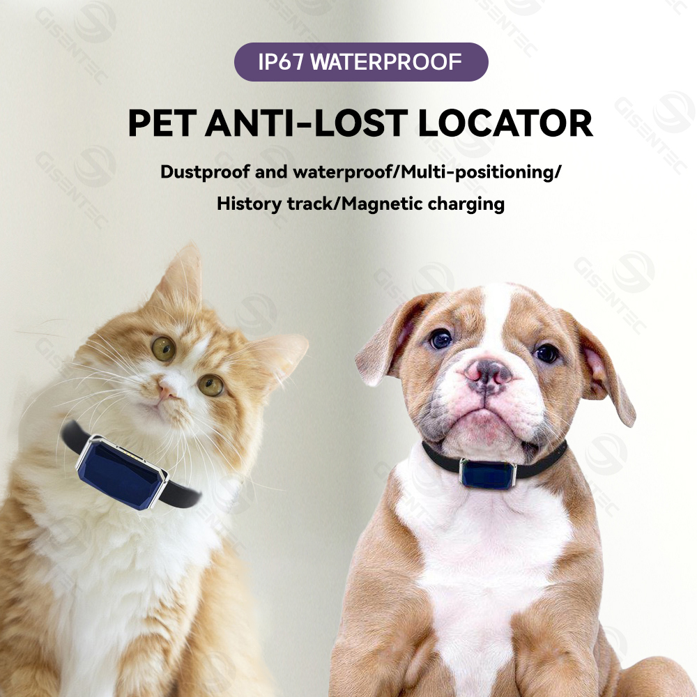 G12 IP67 Hot Sell Pets GPS Tracker Trackers Locator AGPS Wifi LBS APP+Web+SMS Real-time Tracking System Collar for Dogs Cats