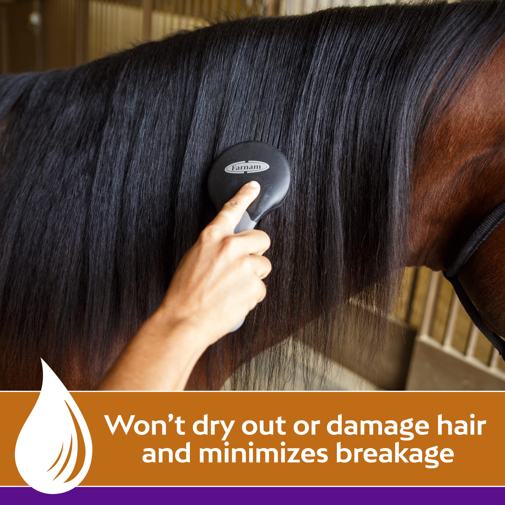 Farnam Vetrolin Shine Coat Conditioner & Shine Spray for Horses & Dogs, 64 fl. oz.