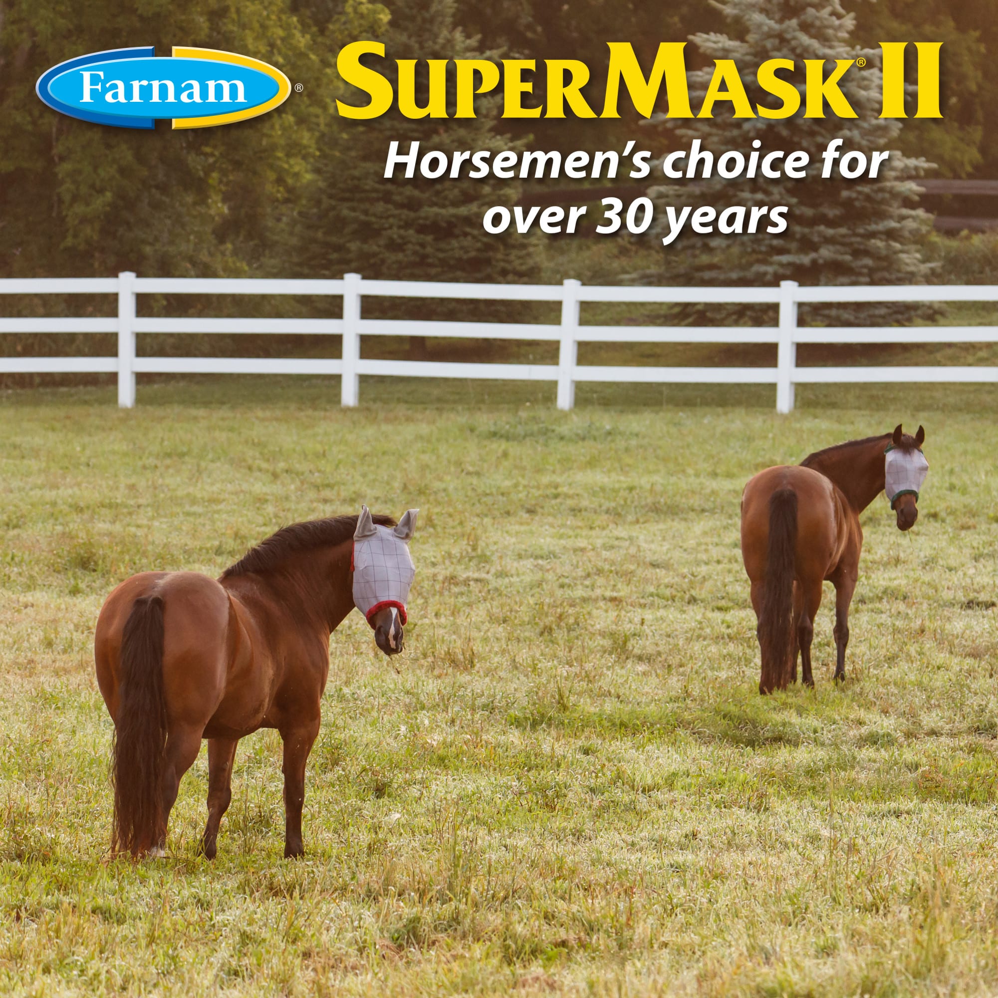Farnam SuperMask II Classic Horse Fly Mask, with Ears, Small