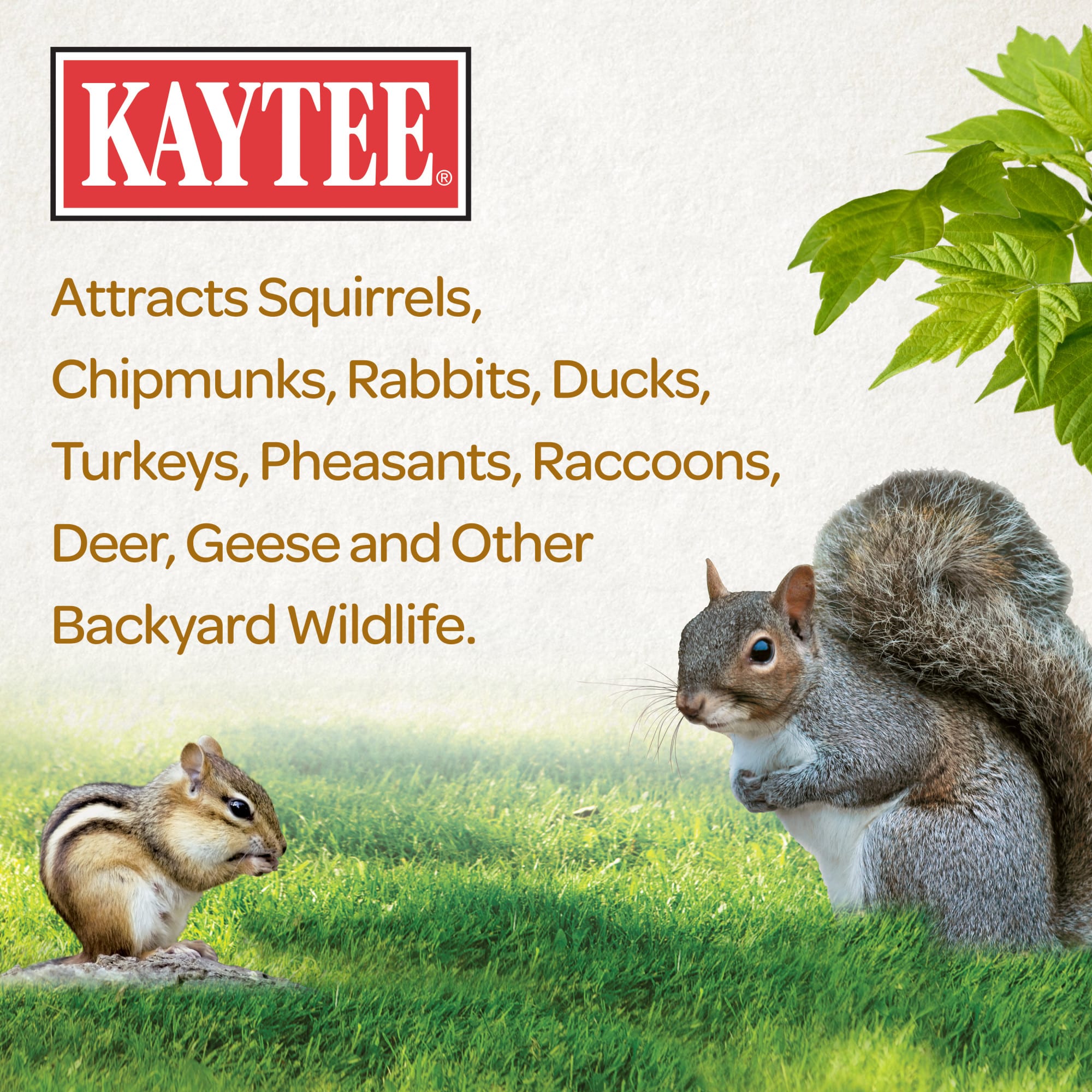 Kaytee Squirrel & Critter Blend Wildlife Food