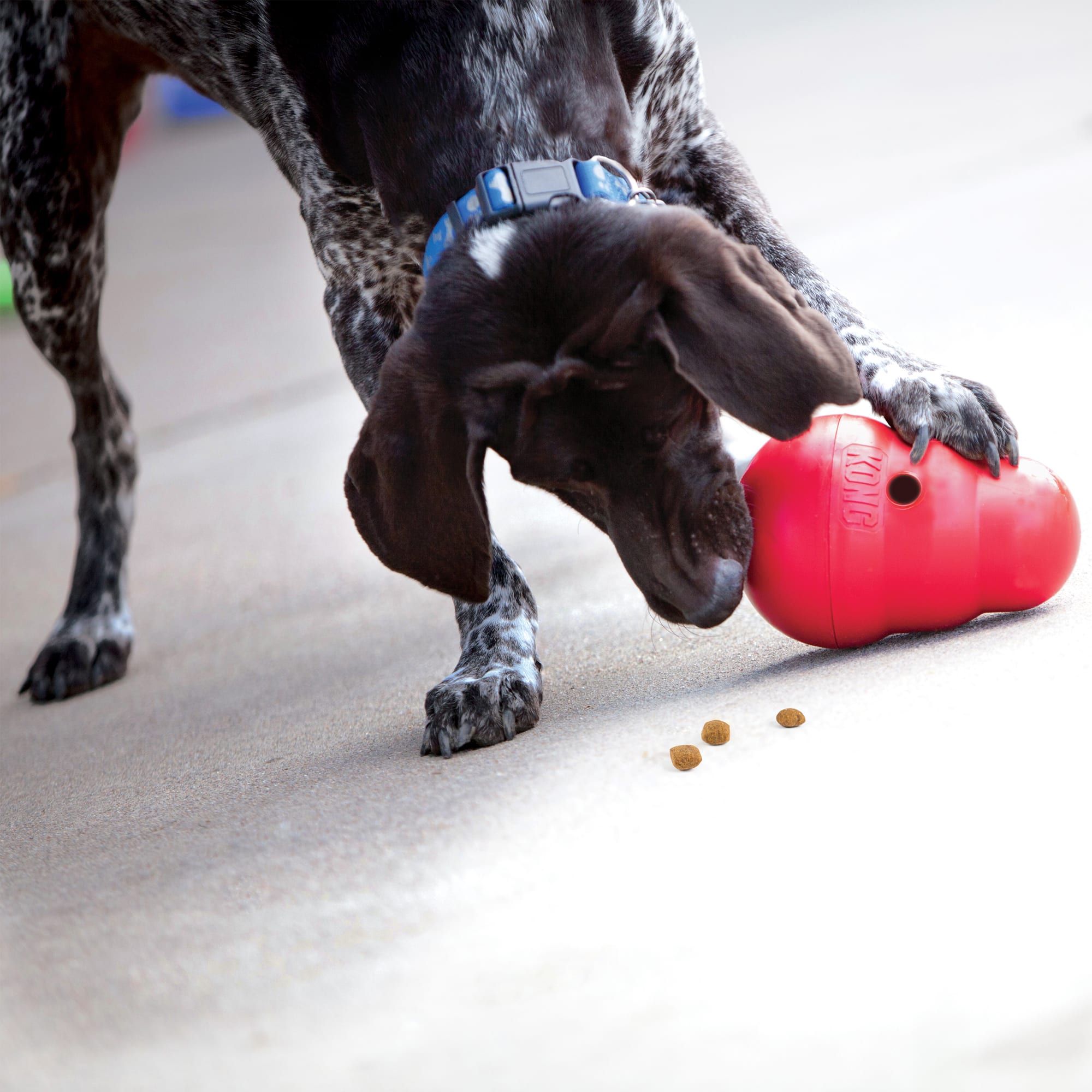 KONG Wobbler Food Dispensing Dog Toy, Large
