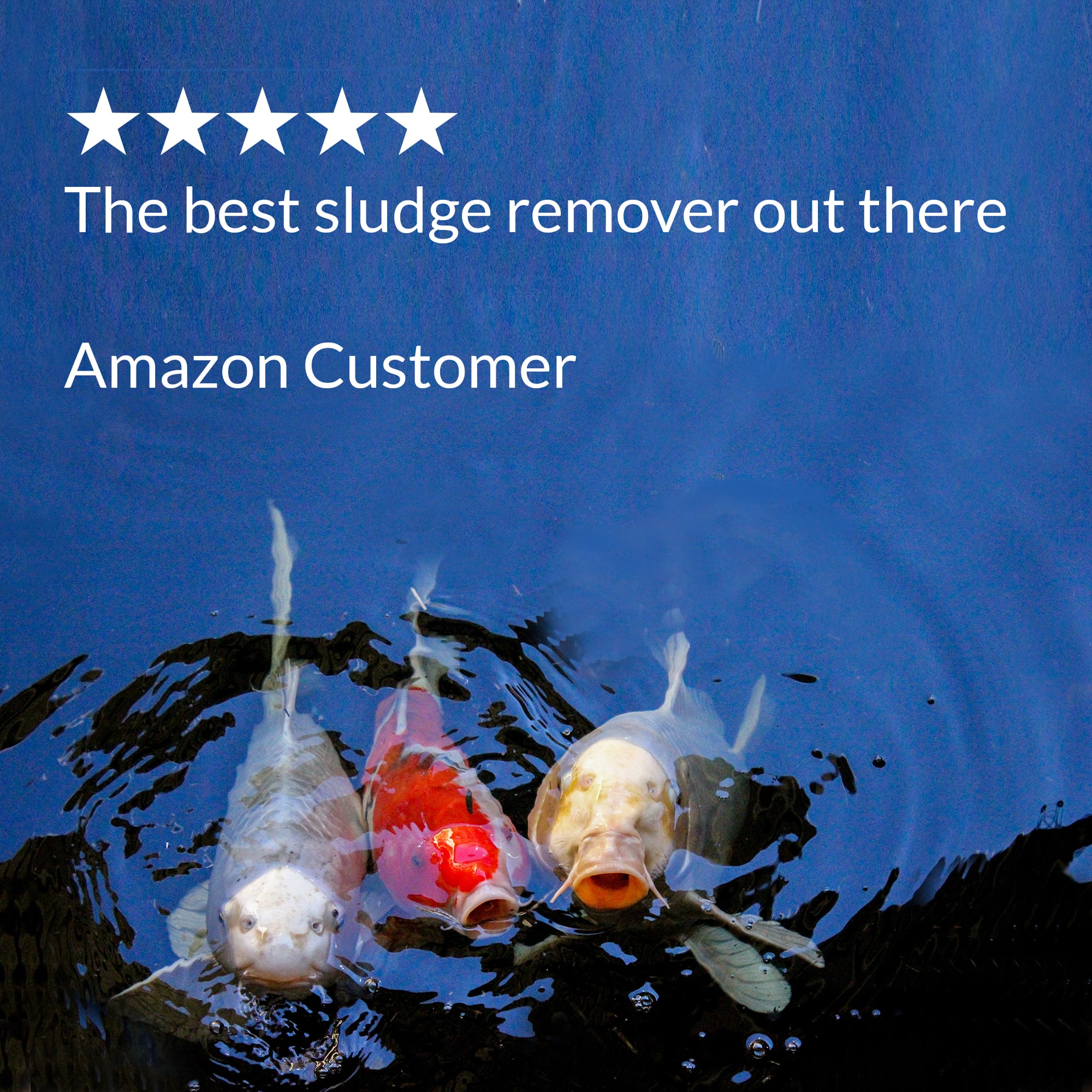 API Pond-Zyme Sludge Destroyer, 16 oz.