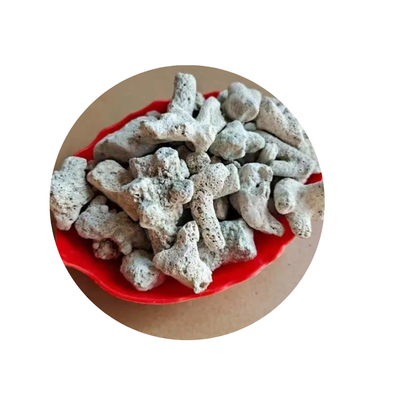 philippines coral sand for aquariums Fly off the shelves taiwan coral sand Complete specifications sand frag plug coral