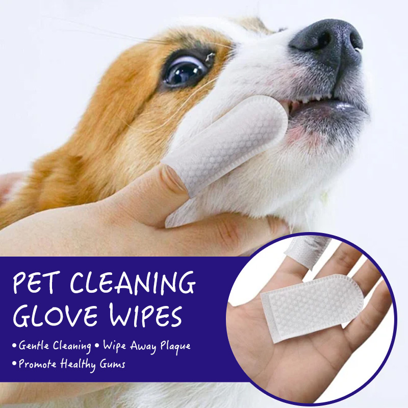 OEM Pet Grooming Wipes Biodegradable Cat Dog Cleaning Moist Tooth Eye Wet Pet Ear Wipes