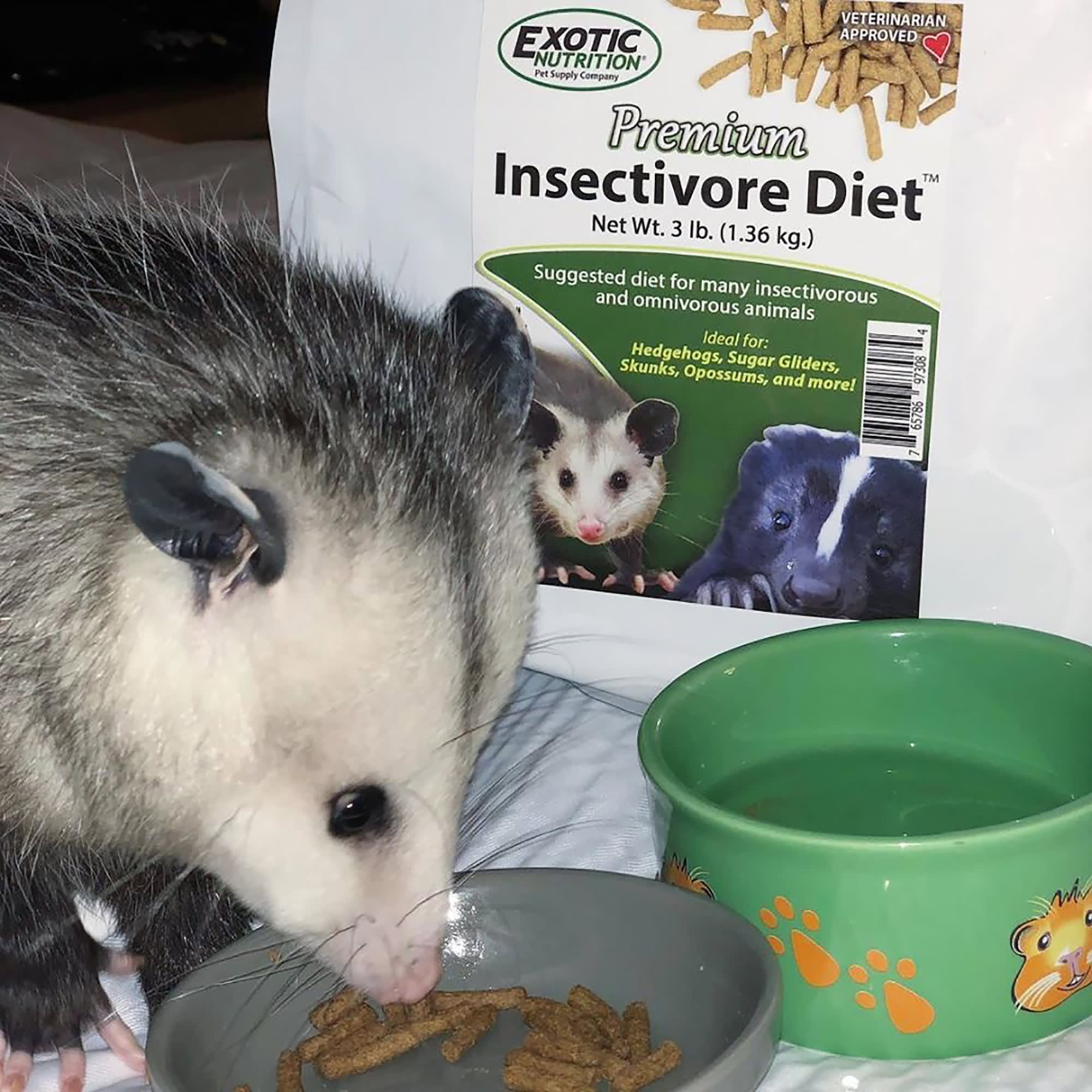 Exotic Nutrition Premium Insectivore Diet Small Pet Food, 1.25 lbs.