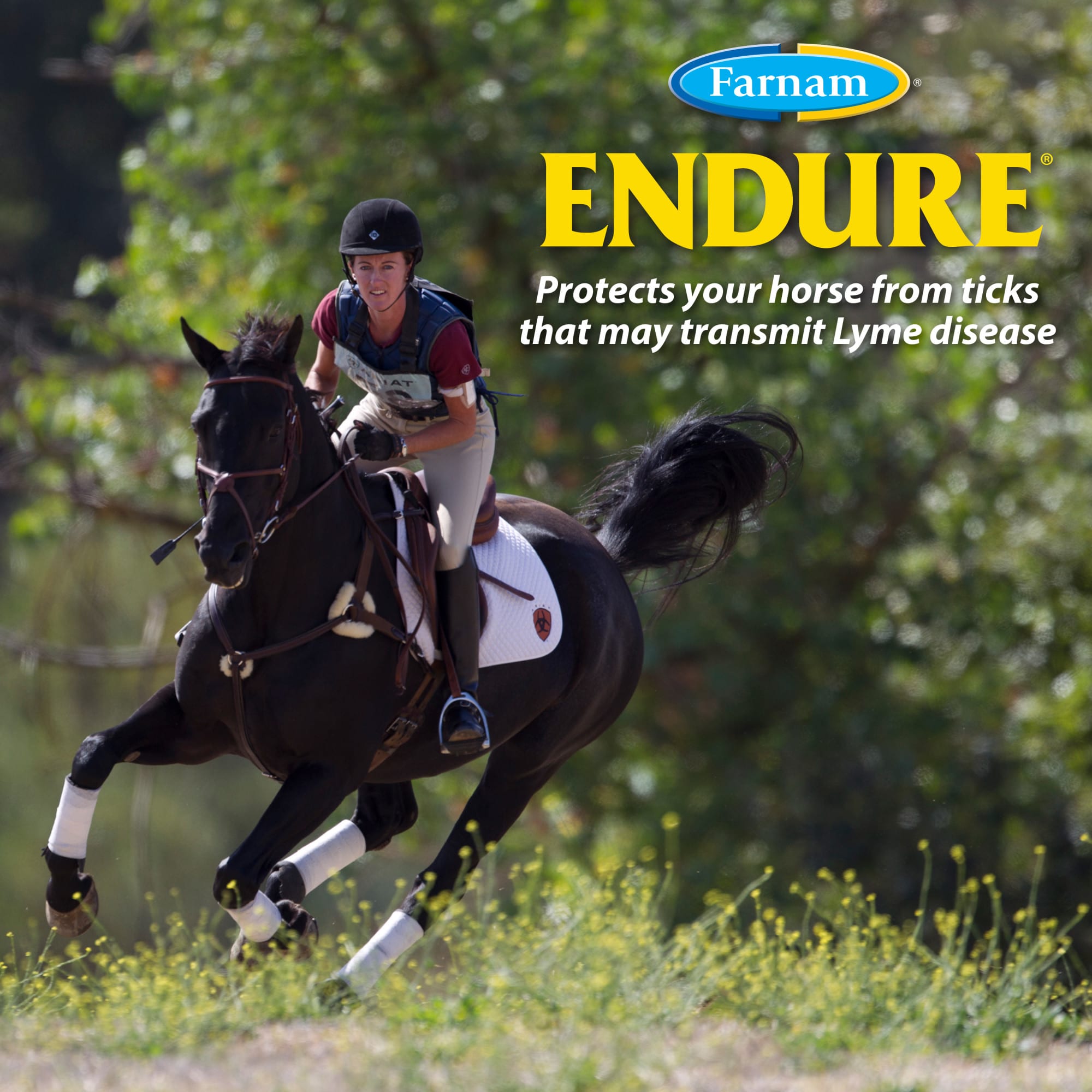 Farnam Endure Sweat-Resistant Fly Spray for Horses, 32 fl. oz.