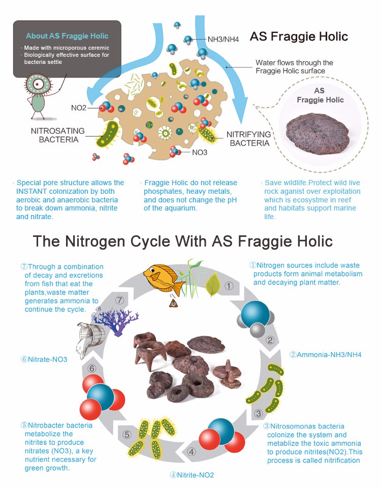 A.S. FD/S Fraggie Holic Coral Frag Disc Ceramic Base Coral Reef Frag Plug