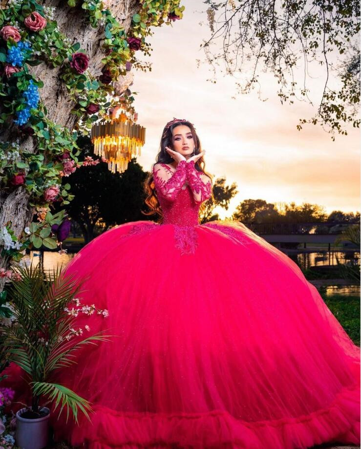 Burgundy Luxury Princess Quinceanera Dresses Sparkly Long Sleeve Crystal Applique Puffy Corset vestidos de 15 quinceanera 2024
