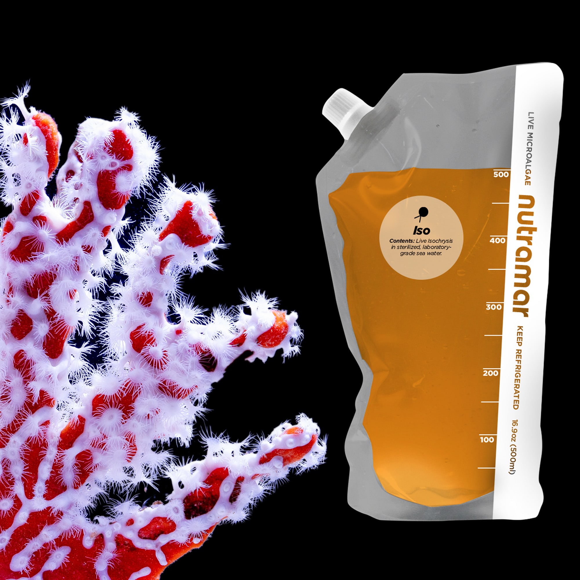 Nutramar Live Phyto Iso Pouch, 16.9 oz.