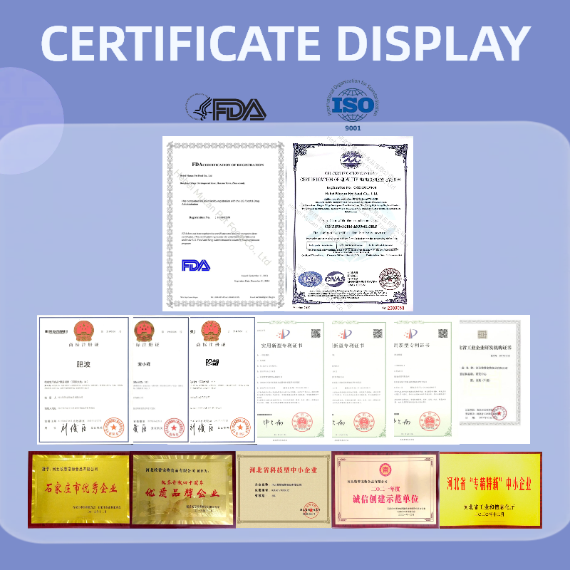 OEM Cat Food Factory Exports 10KG Natural Raw Fish Flavors Fish Shapes All Age Cat Food