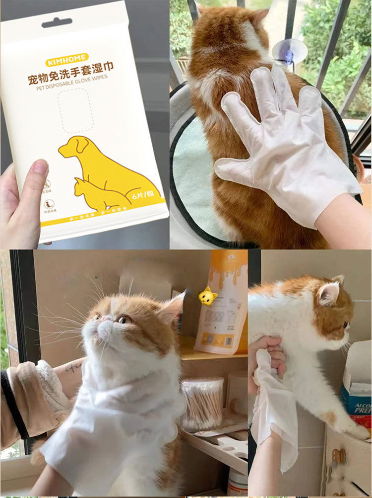 6-Piece Wet Wipes Pet Washing Gloves Dog Bathing Deodorization Disposable Cat Cleaning Dry Cleaning Pet Supplies