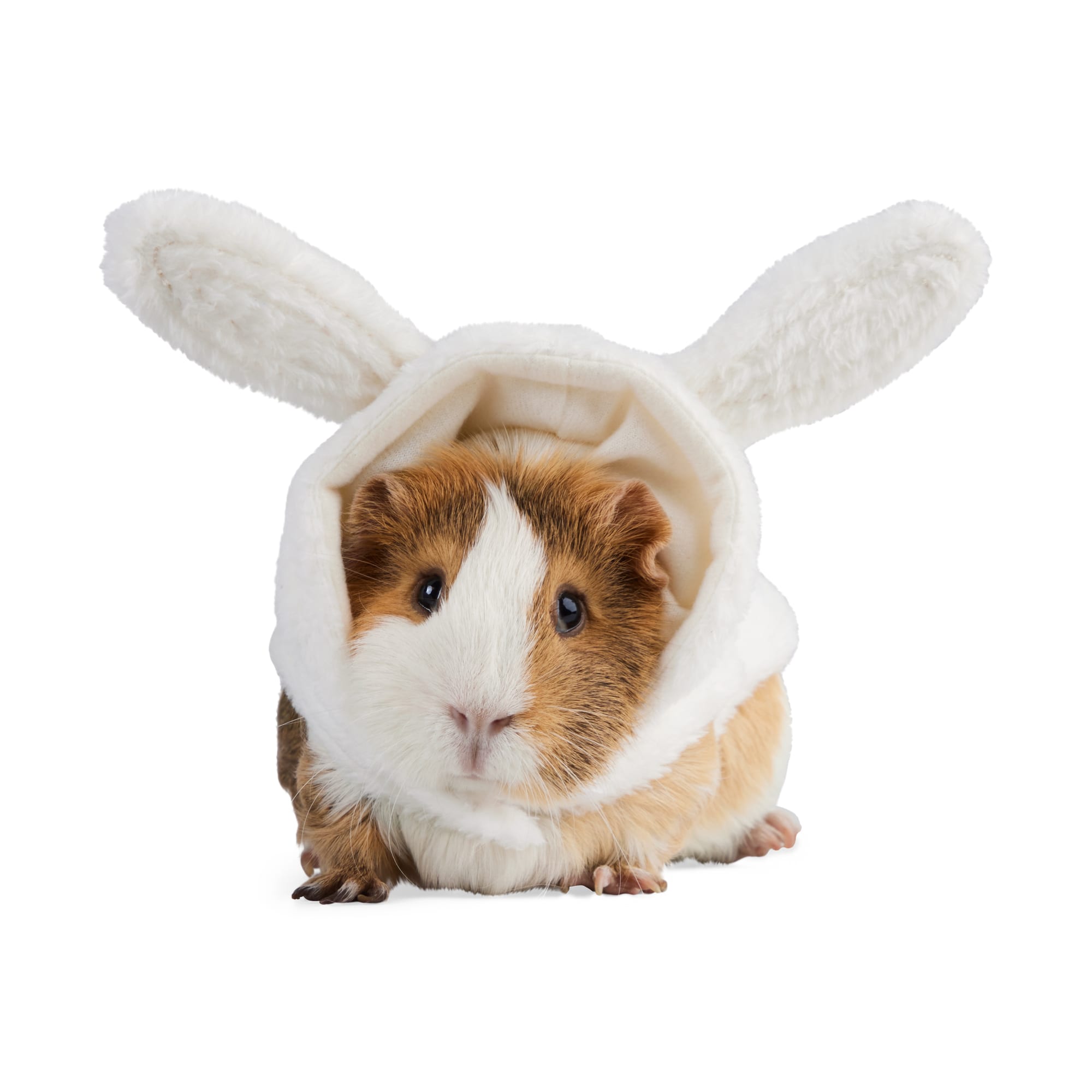 YOULY Easter Bunny Hoodie for Small Animals