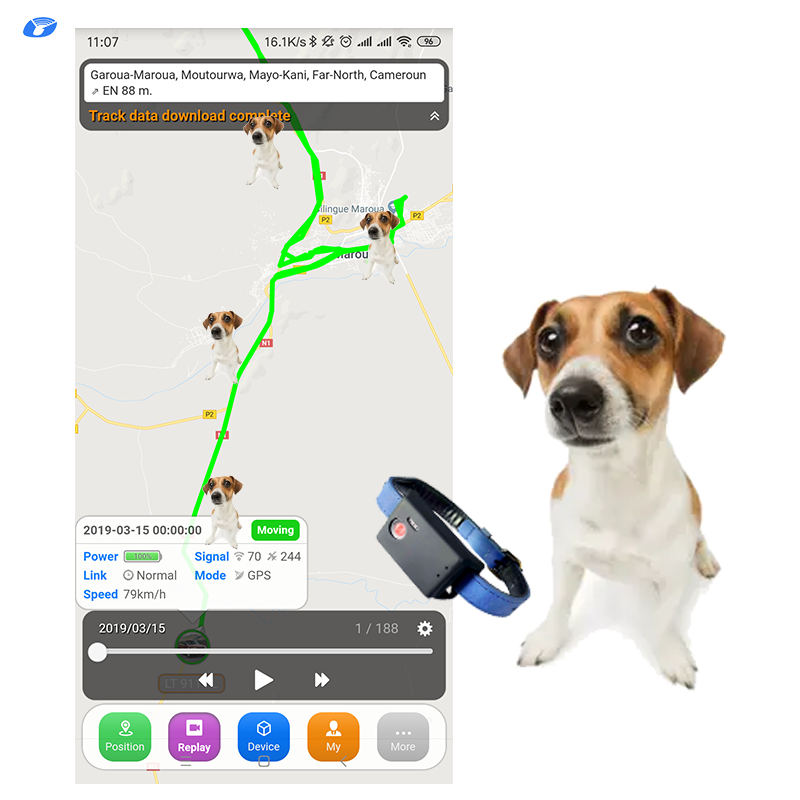 Smart GPS Pet Tracker cat dog Spy Smallest GPS tracking chip global locator 2G 4G small animal collar gps tracker
