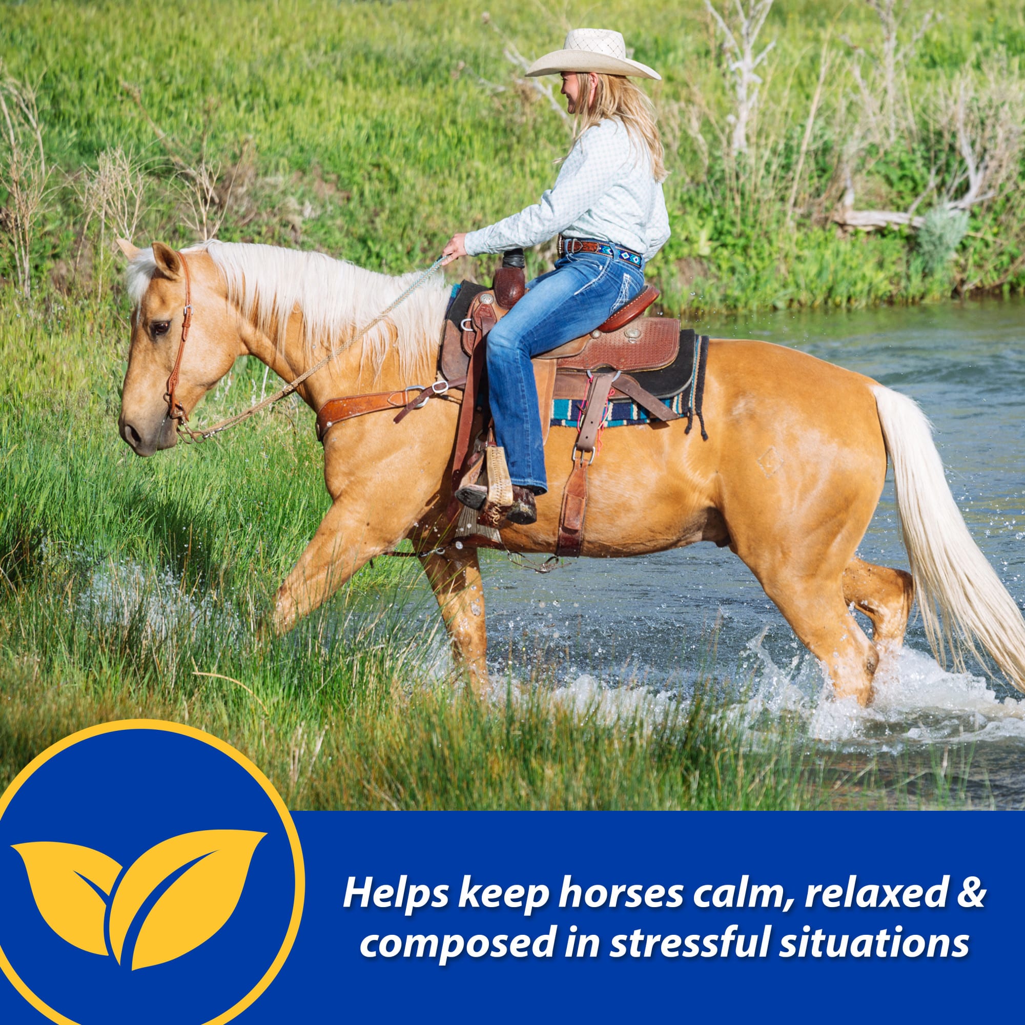 Farnam Quietex II Focusing & Calming Pellets, 1.625 lbs.