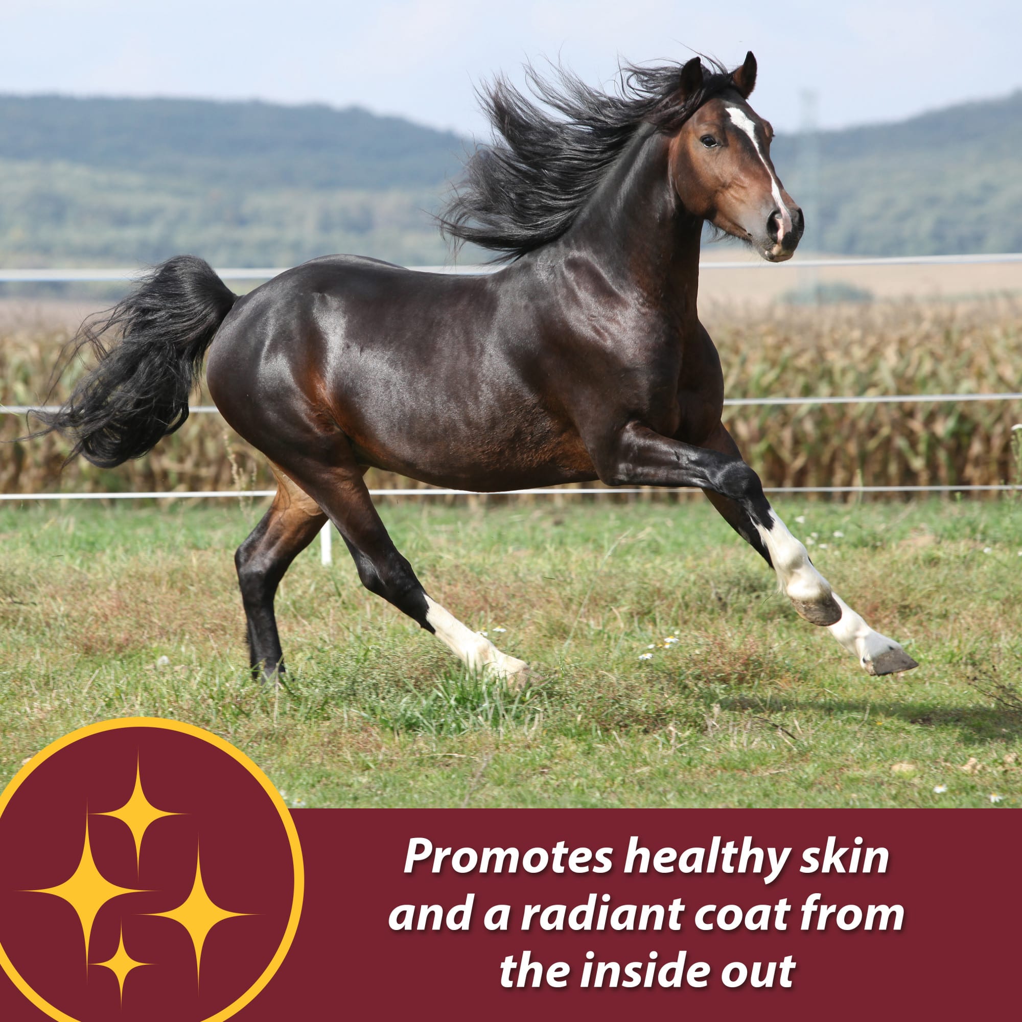 Farnam Laser Sheen Skin & Coat Promotes Healthy Skin & Radiant Coat from the Inside Out Supplement for Horses, 7.5 lbs.