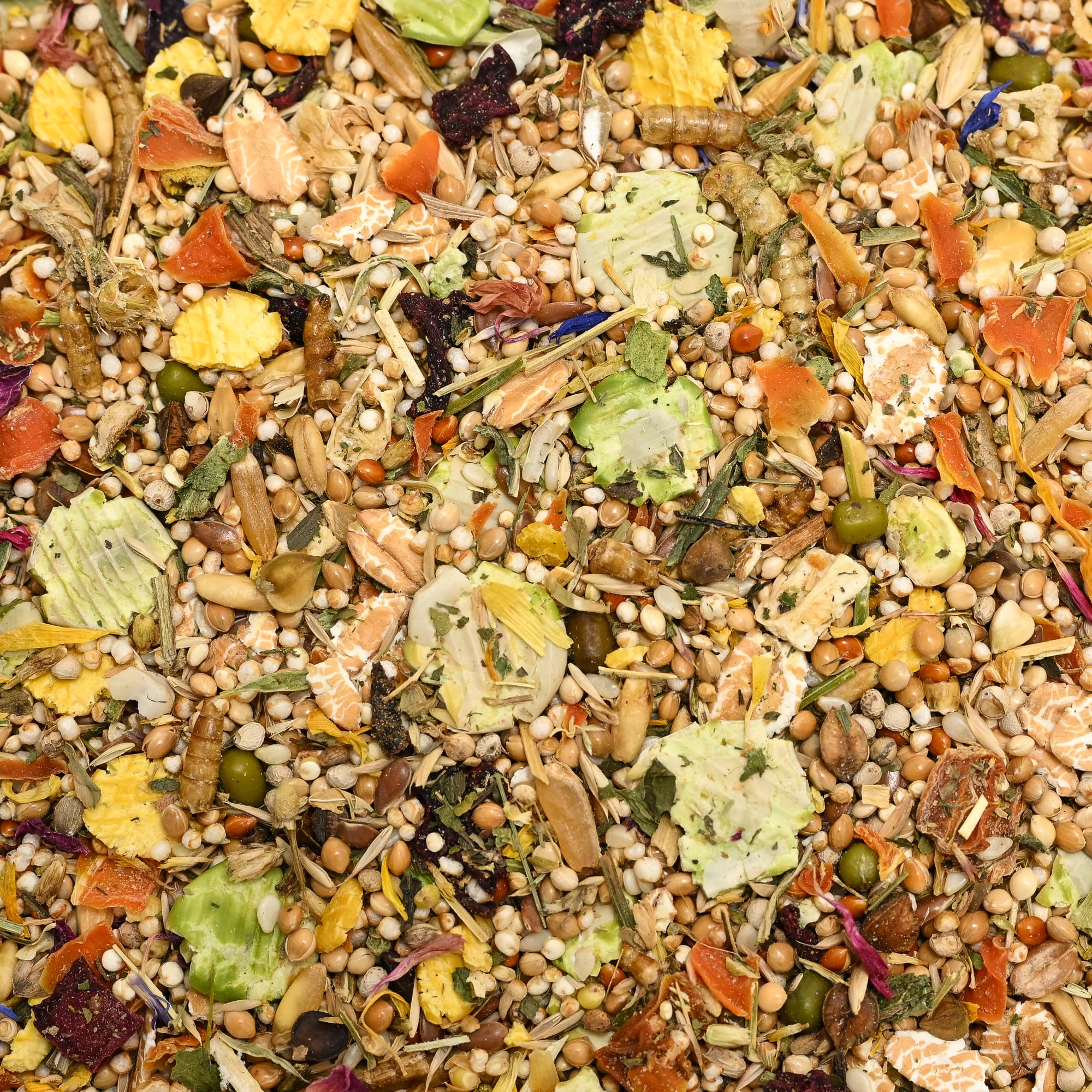 Bunny Nature Dwarf Hamster Dream Expert Flower Dry Food, 500 Gram