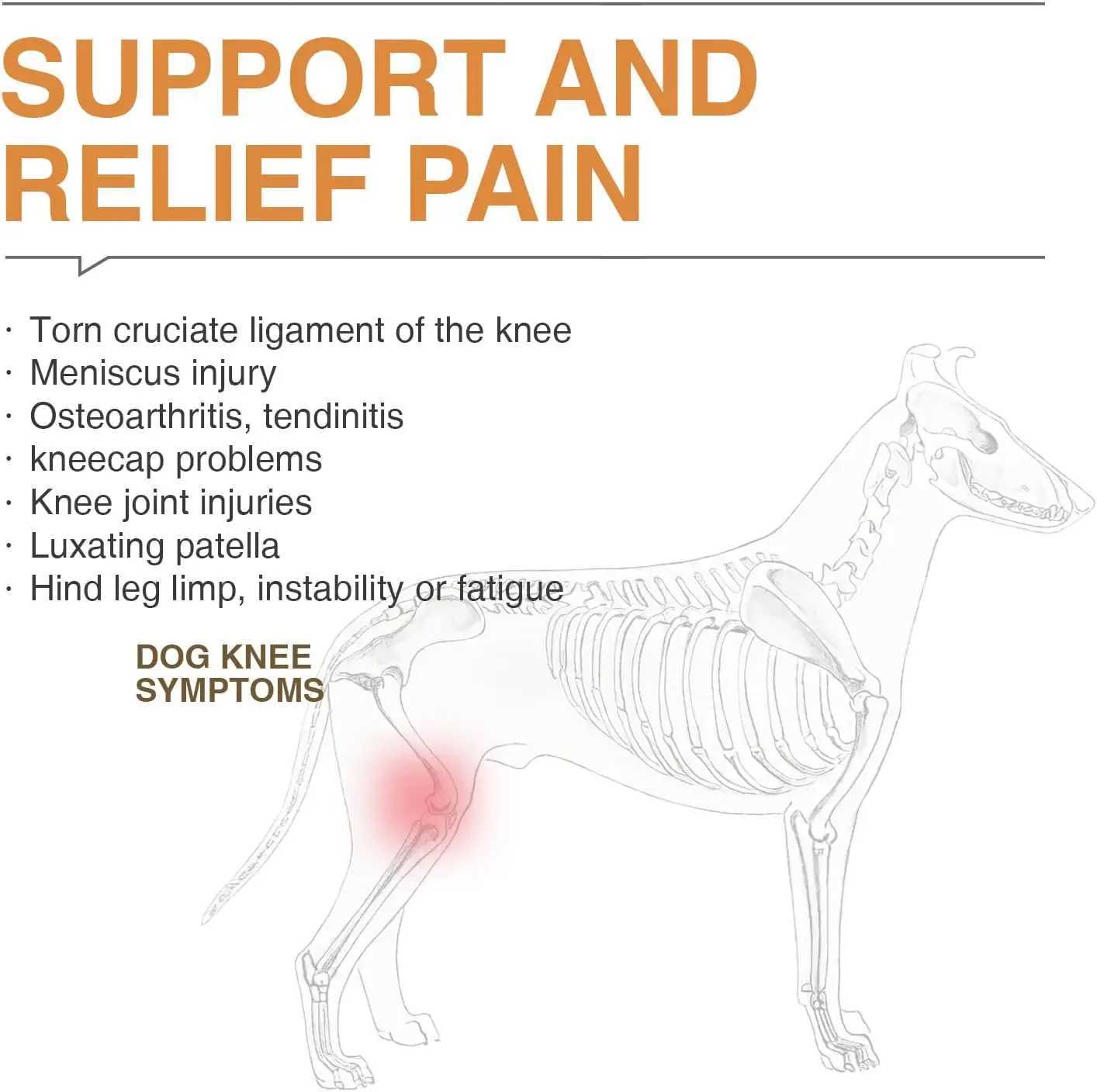 Dog knee brace for tearing Acl legs used to warm joints and relieve joint pain in the back for better recovery X241125