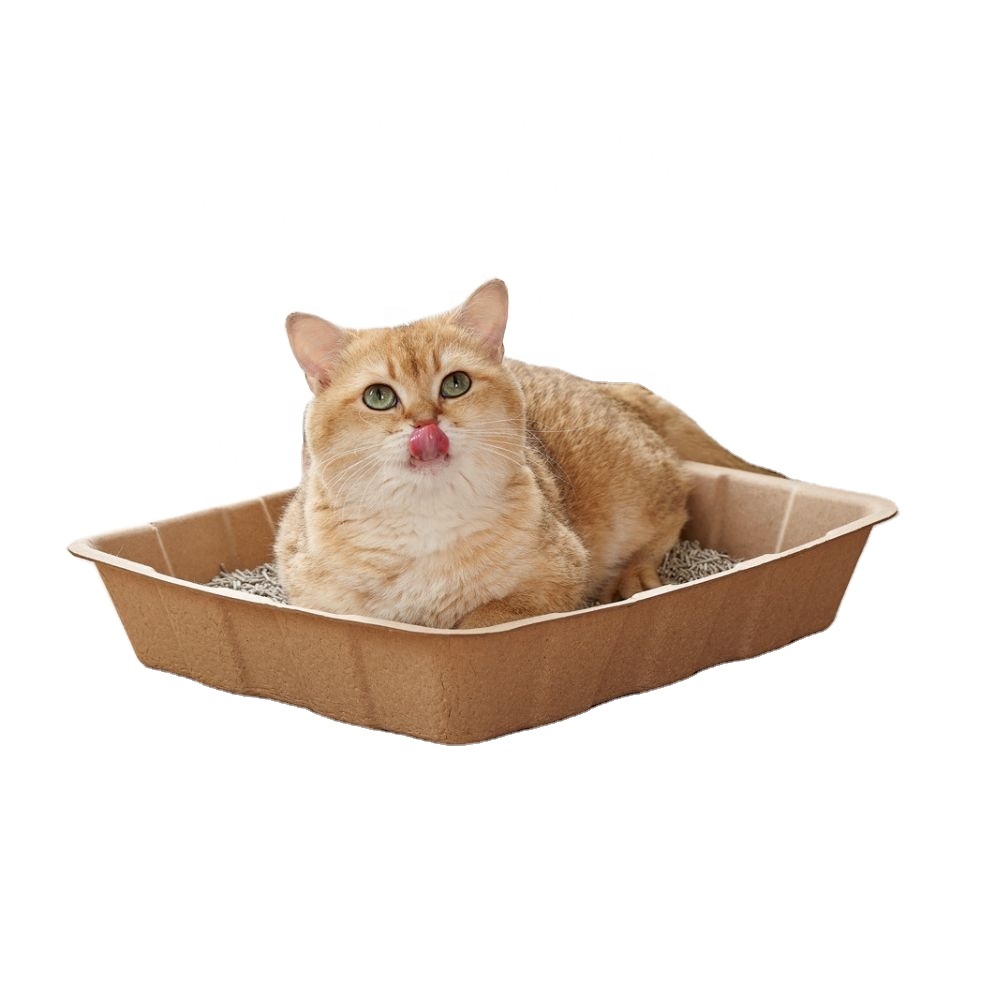 Convenient Disposable Cat Litter Box 1 Pack of 5 Disposable Cat Toilet