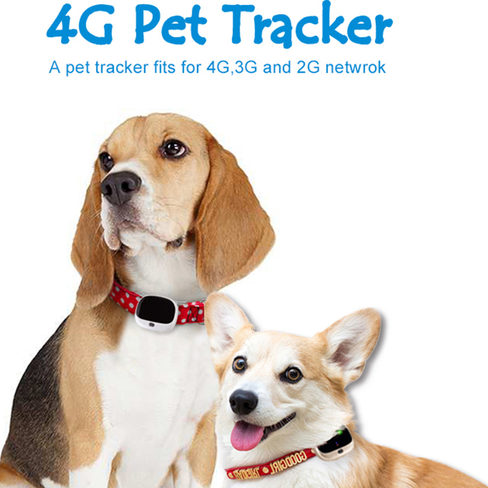 4G GPS WIFI Tracker V43 Pet Mini Waterpoof IP67 Real time Tracking device mini rastreador gps Locator for pet dog cat kids