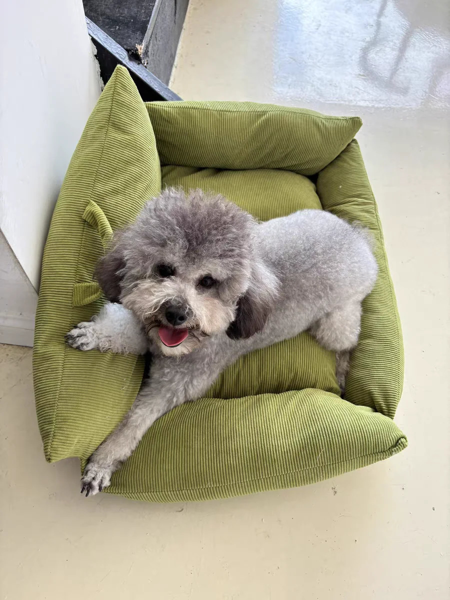 Puppy special sofa kennel winter warm pet Internet celebrity cat nest small dog sleeping mat cushion winter bed 241125