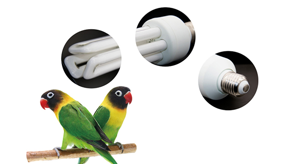 20w Bird 2.0 uvb uva compact fluorescent lamp light bulb 2 in 1