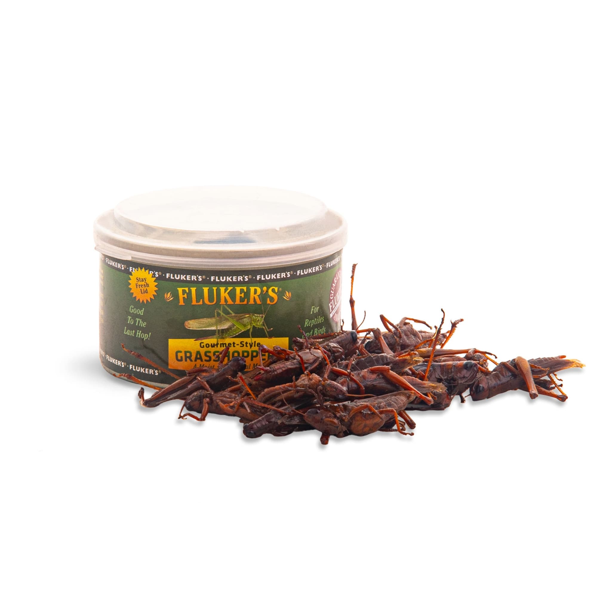 Fluker's Gourmet Style Grasshopper Reptile Food, 1.2 oz.