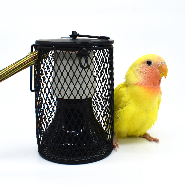 Parrot Warming Lamp Ceramic Heat Lamp Turtle Heating Lamp Bird Heater