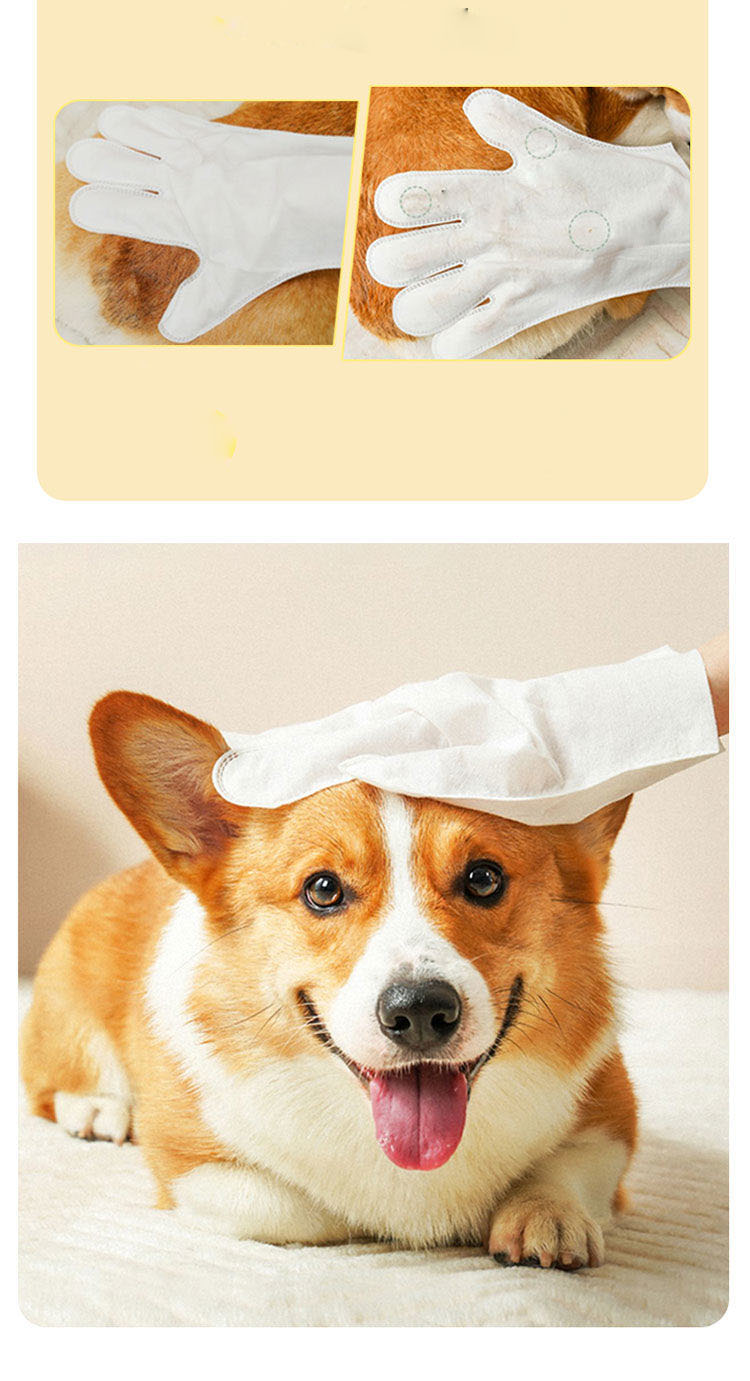 6-Piece Wet Wipes Pet Washing Gloves Dog Bathing Deodorization Disposable Cat Cleaning Dry Cleaning Pet Supplies