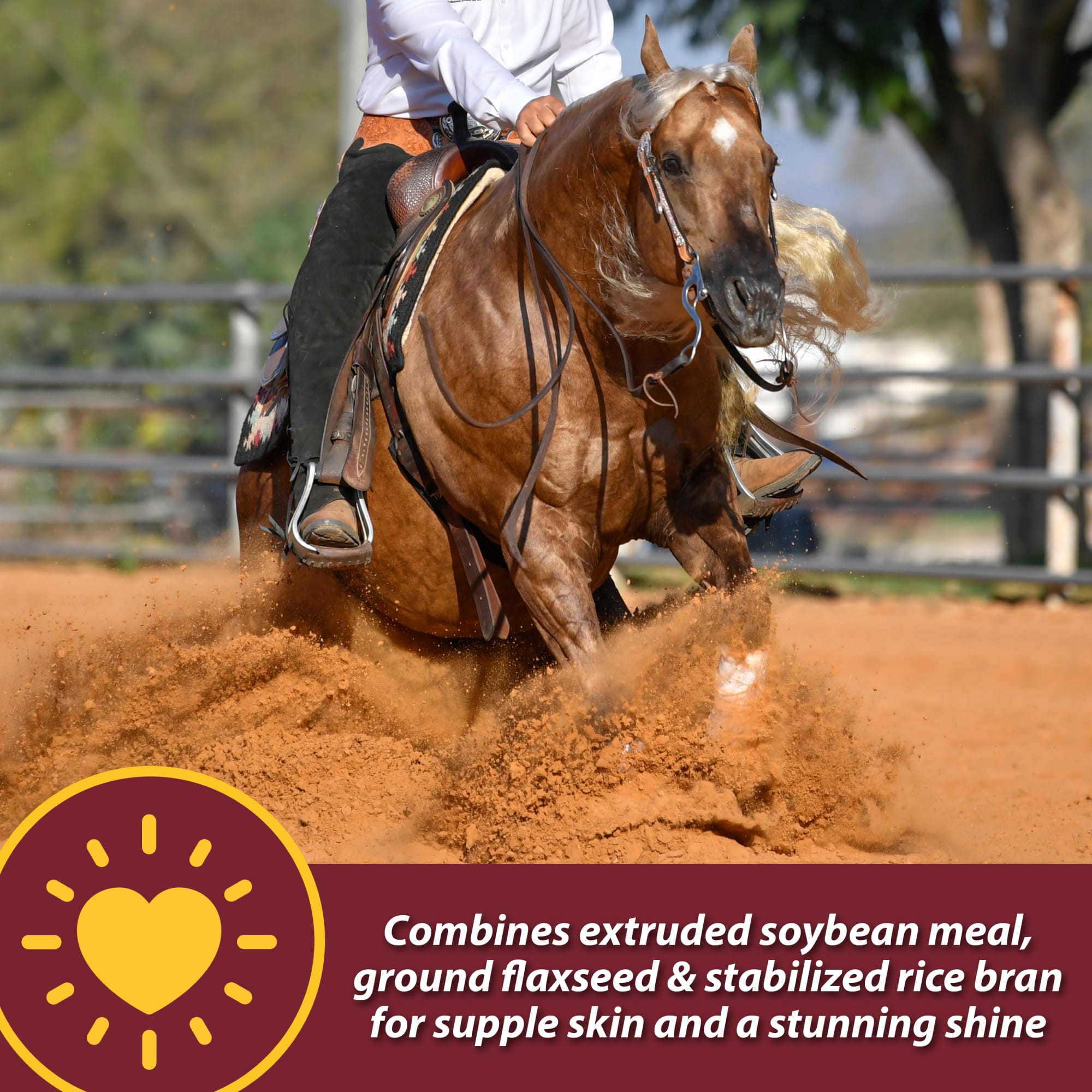 Farnam Laser Sheen Skin & Coat Promotes Healthy Skin & Radiant Coat from the Inside Out Supplement for Horses, 7.5 lbs.