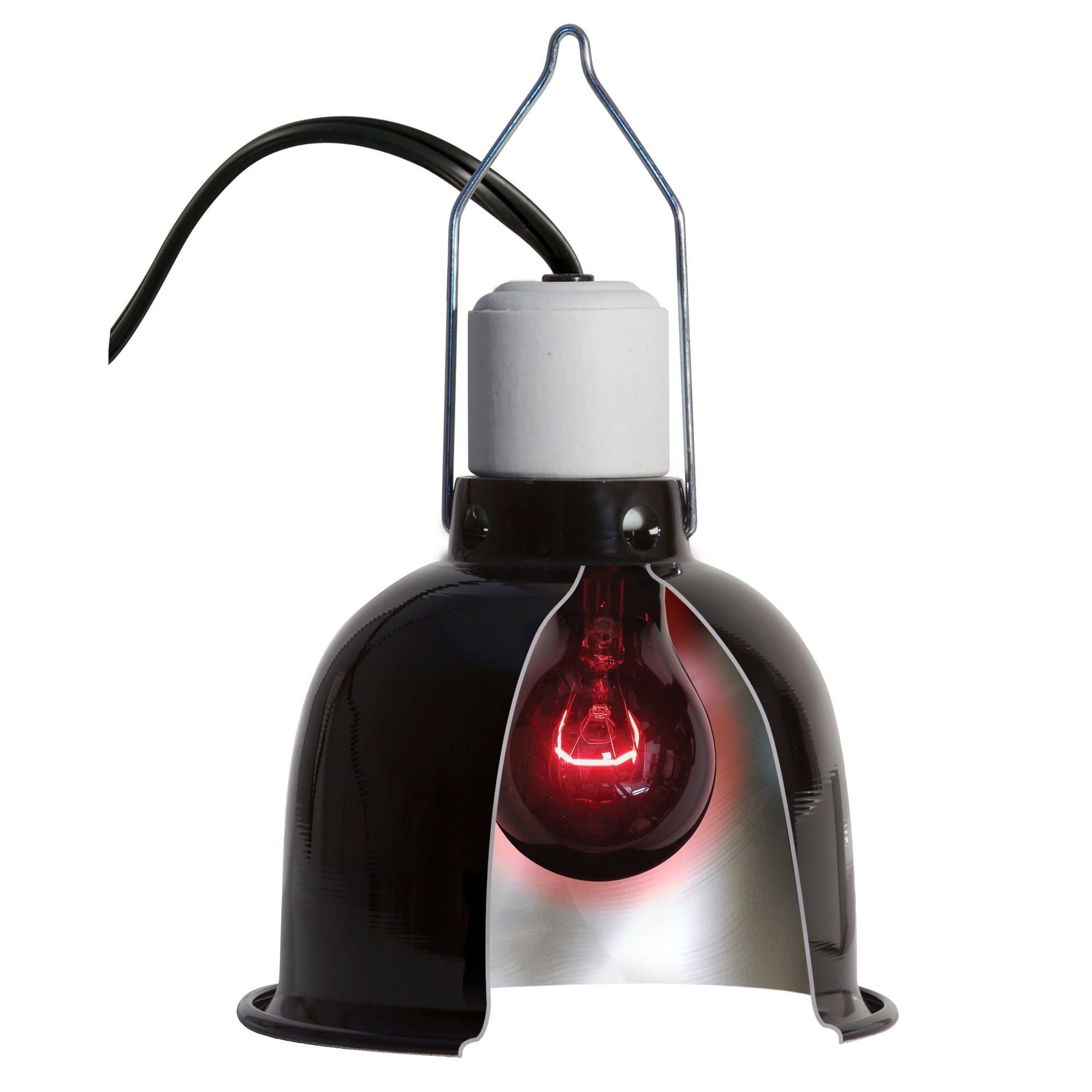 Zoo Med Nightlight Red Bulb for Reptiles, 60 Watts, Pack of 2