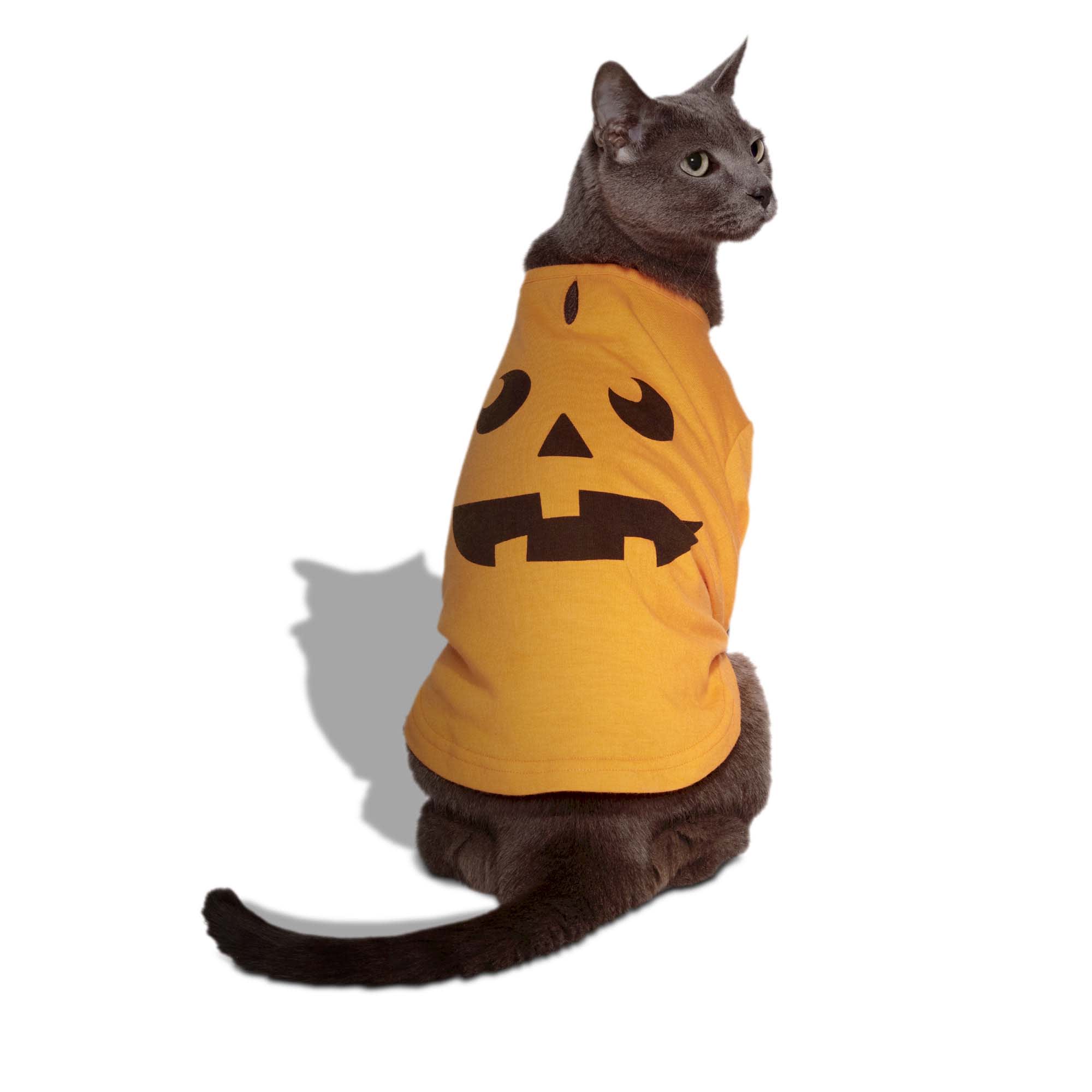 Bootique Pumpkin T-Shirt for Dogs & Cats, Medium