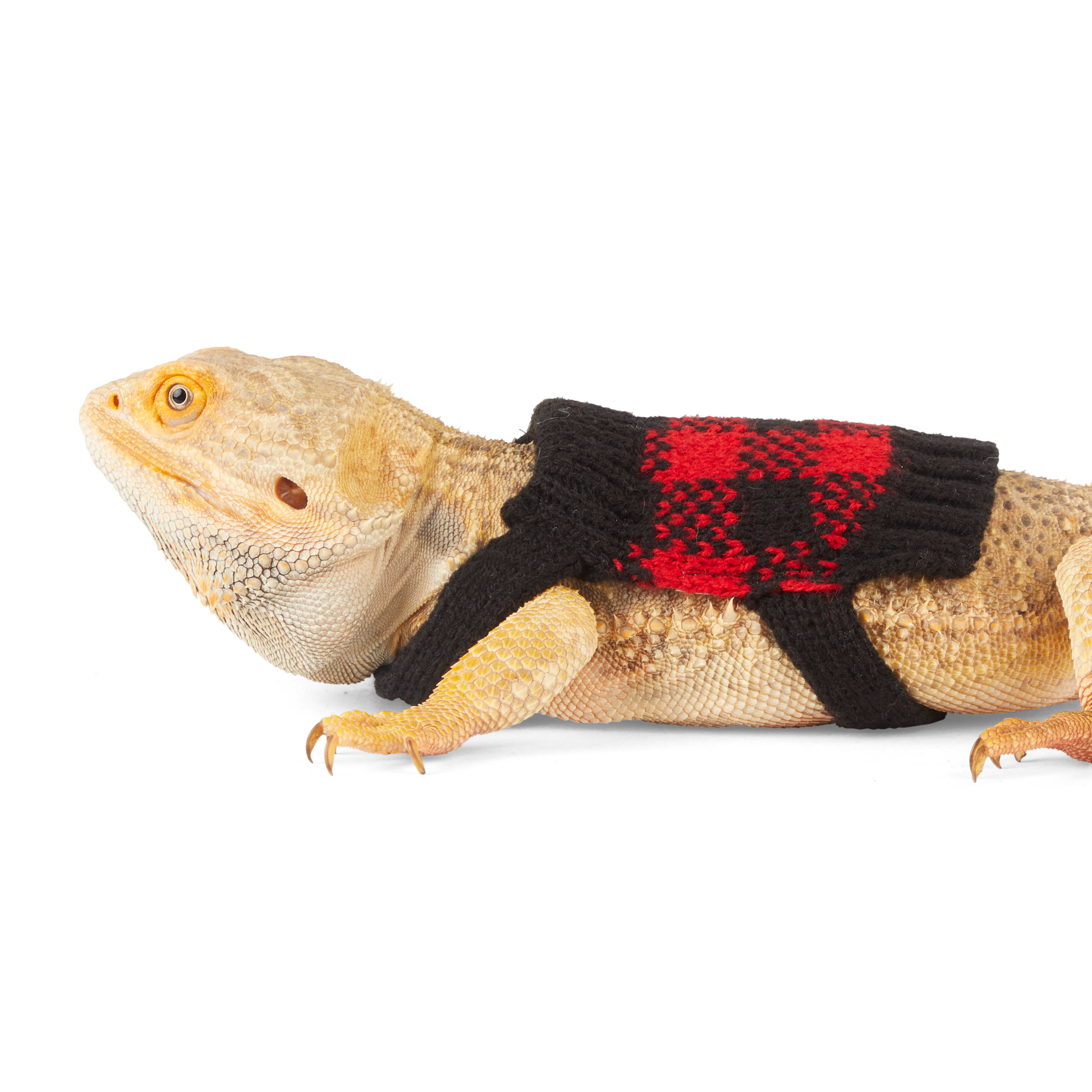 Merry Makings Buffalo Check Sweater for Reptiles, Red