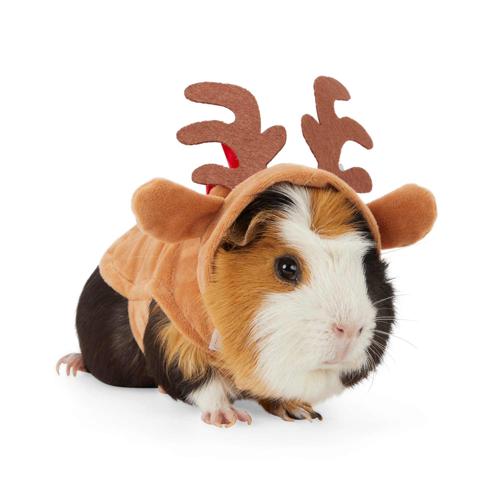Merry Makings Reindeer Costume for Small Animals, Brown