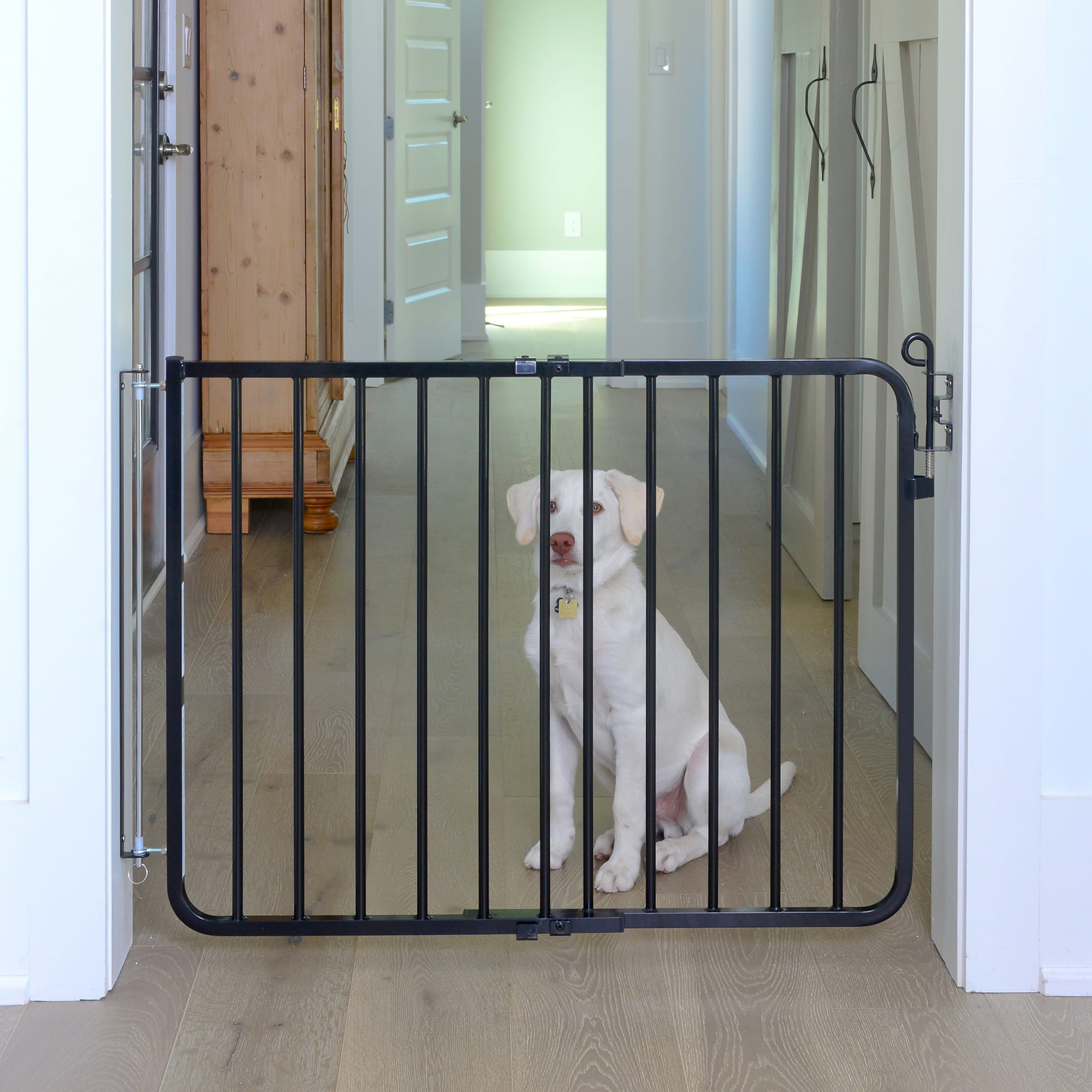 Cardinal Gates Black Auto-Lock Pet Gate, 1" L X 40.5" W X 29.5" H