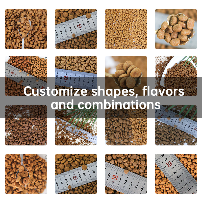 Free Samples All Stages Dry Food Cats Nutritionally Balanced Cheap Food Cats OEM Factory MultipleShape Multiple Flavors Bulk